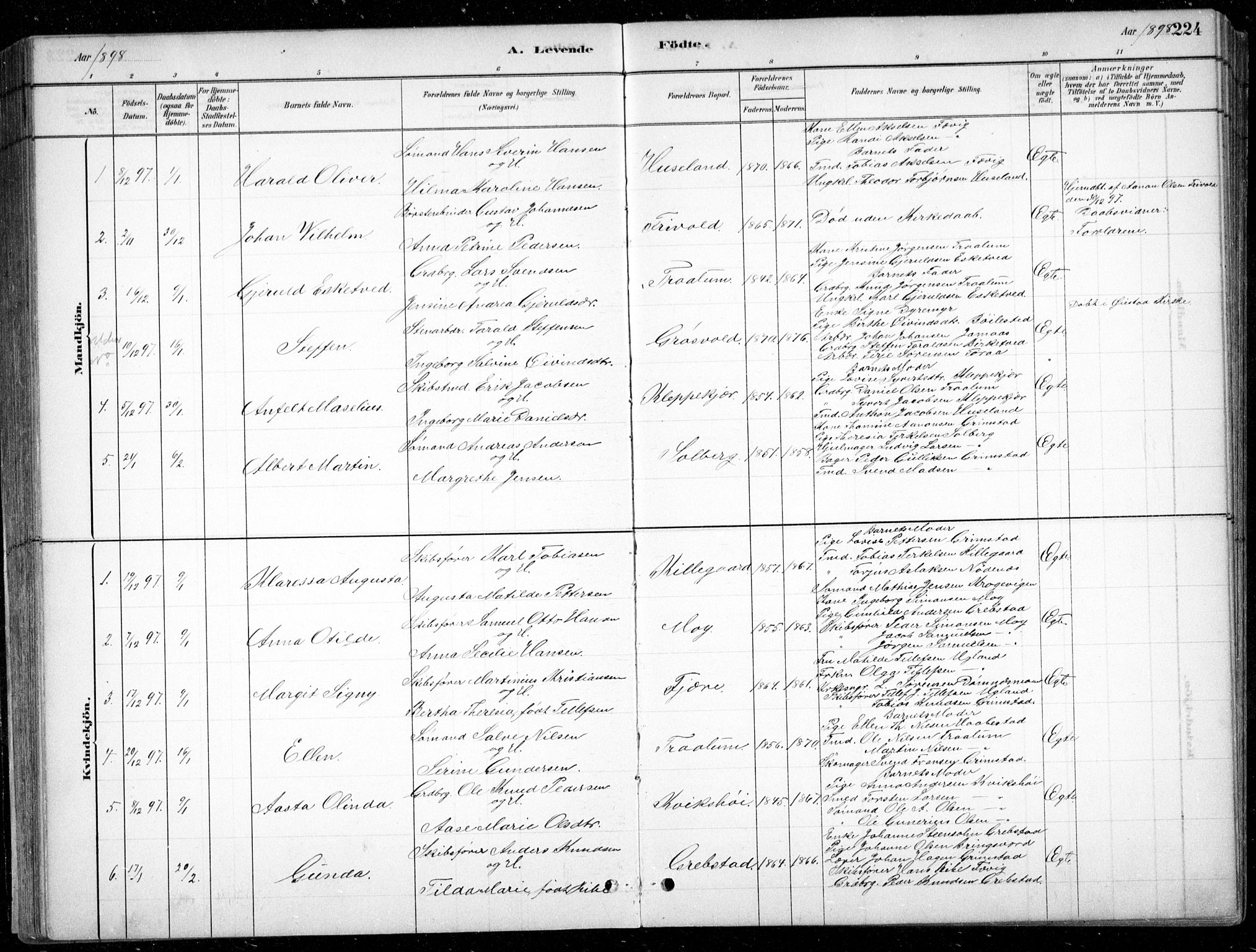 Fjære sokneprestkontor, SAK/1111-0011/F/Fb/L0011: Parish register (copy) no. B 11, 1881-1905, p. 224