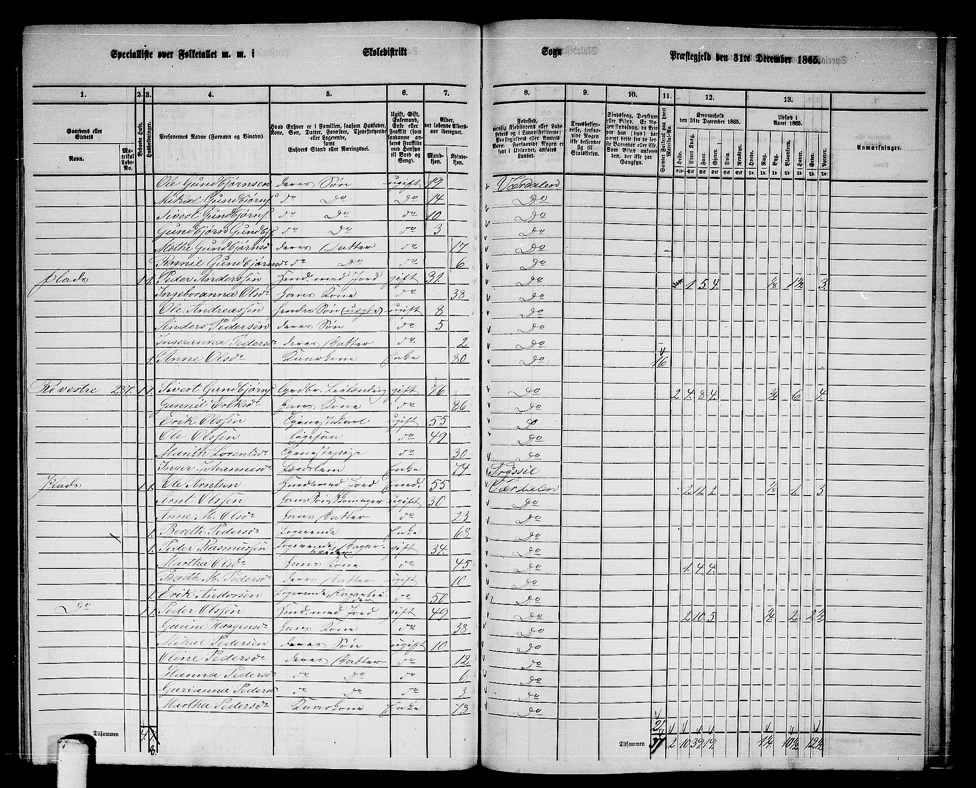 RA, 1865 census for Verdal, 1865, p. 254