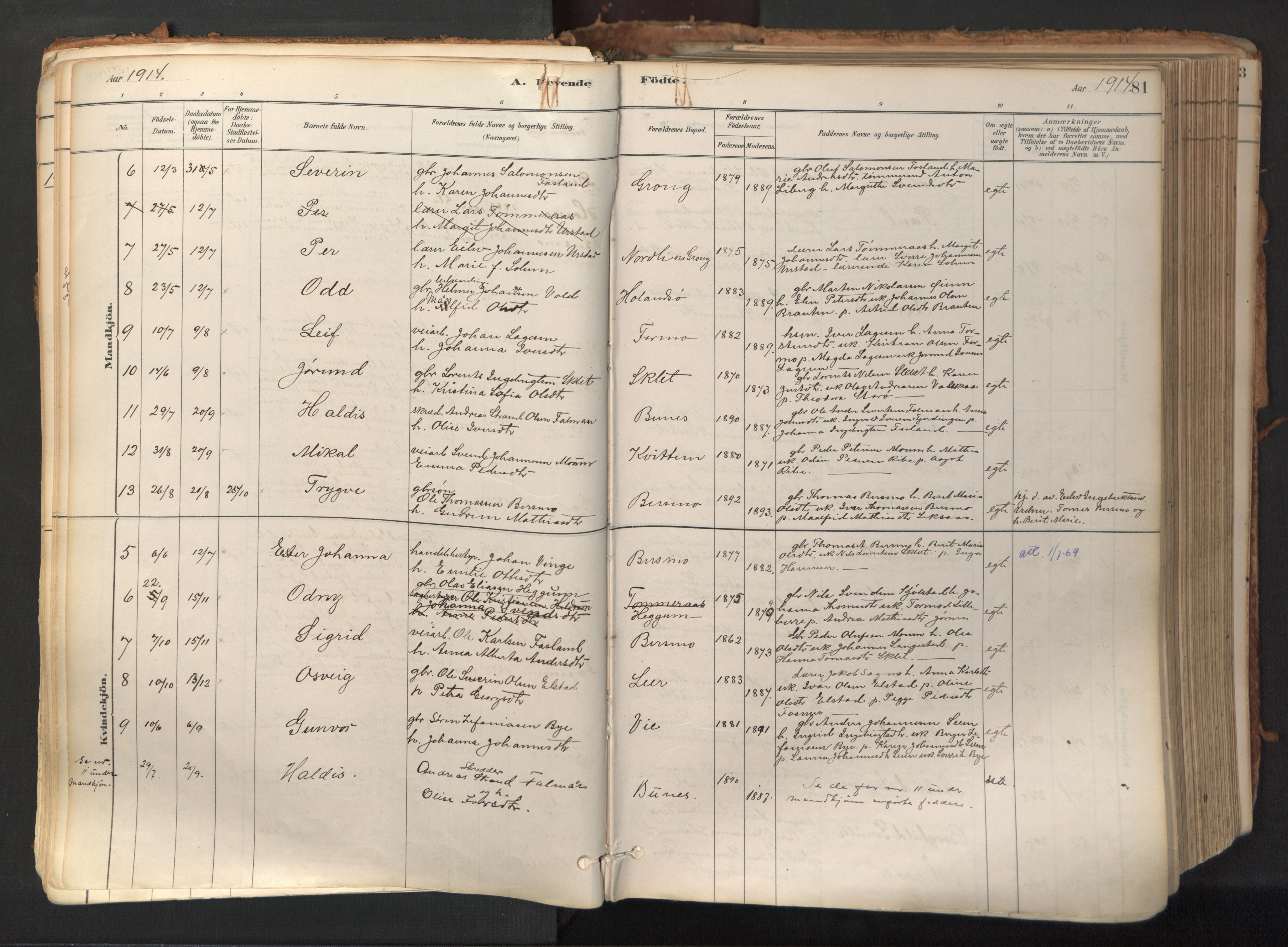 Ministerialprotokoller, klokkerbøker og fødselsregistre - Nord-Trøndelag, AV/SAT-A-1458/758/L0519: Parish register (official) no. 758A04, 1880-1926, p. 81