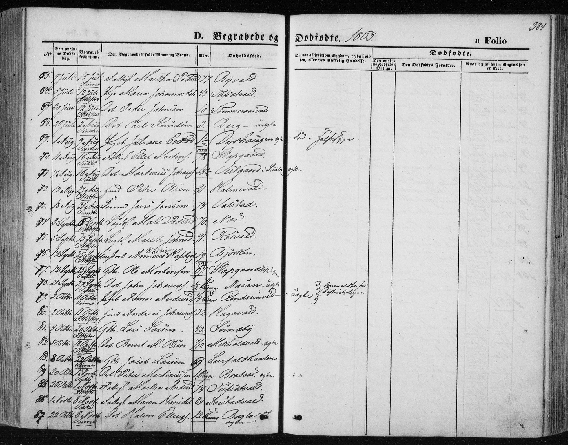 Ministerialprotokoller, klokkerbøker og fødselsregistre - Nord-Trøndelag, SAT/A-1458/723/L0241: Parish register (official) no. 723A10, 1860-1869, p. 384