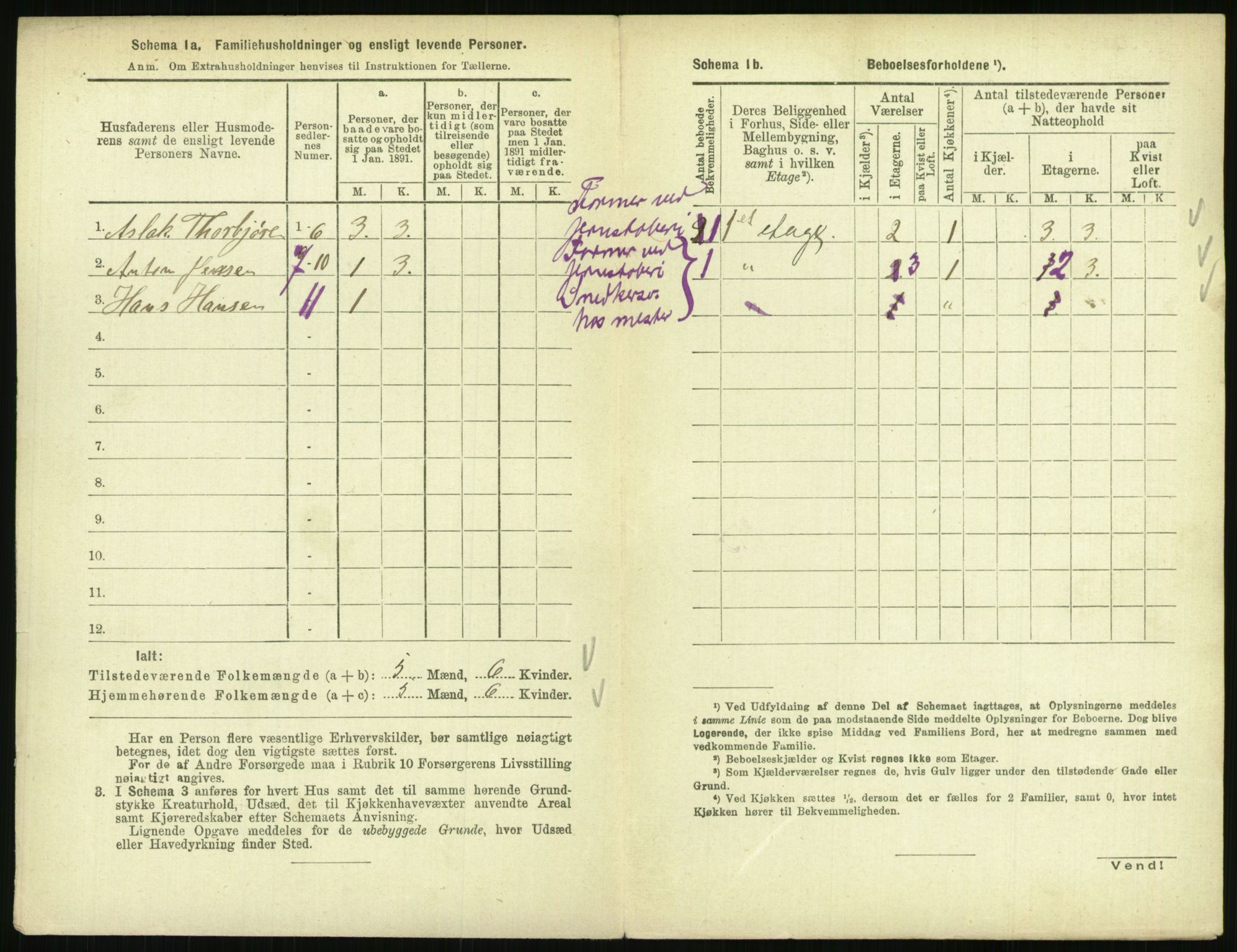 RA, 1891 census for 0801 Kragerø, 1891, p. 1443