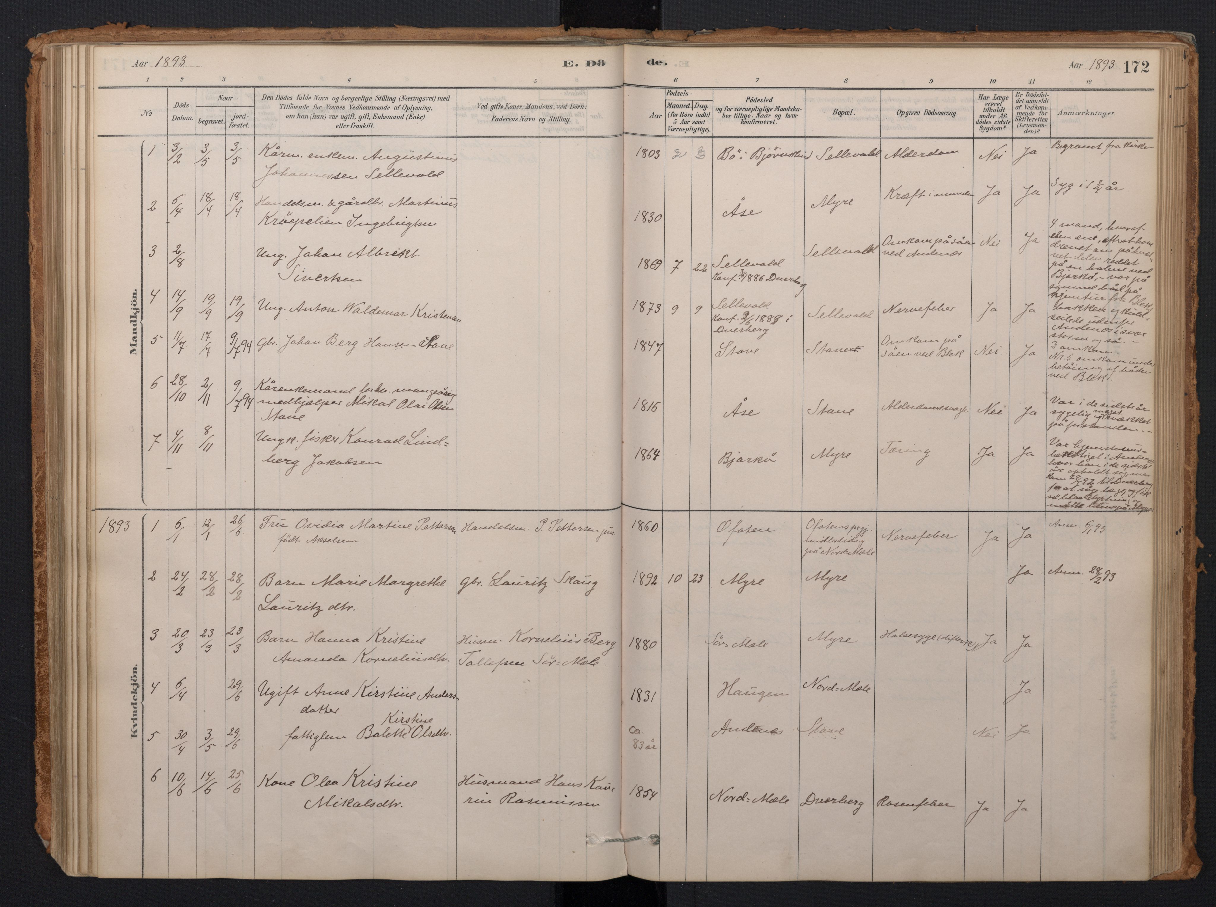 Ministerialprotokoller, klokkerbøker og fødselsregistre - Nordland, AV/SAT-A-1459/897/L1399: Parish register (official) no. 897A06, 1881-1896, p. 172