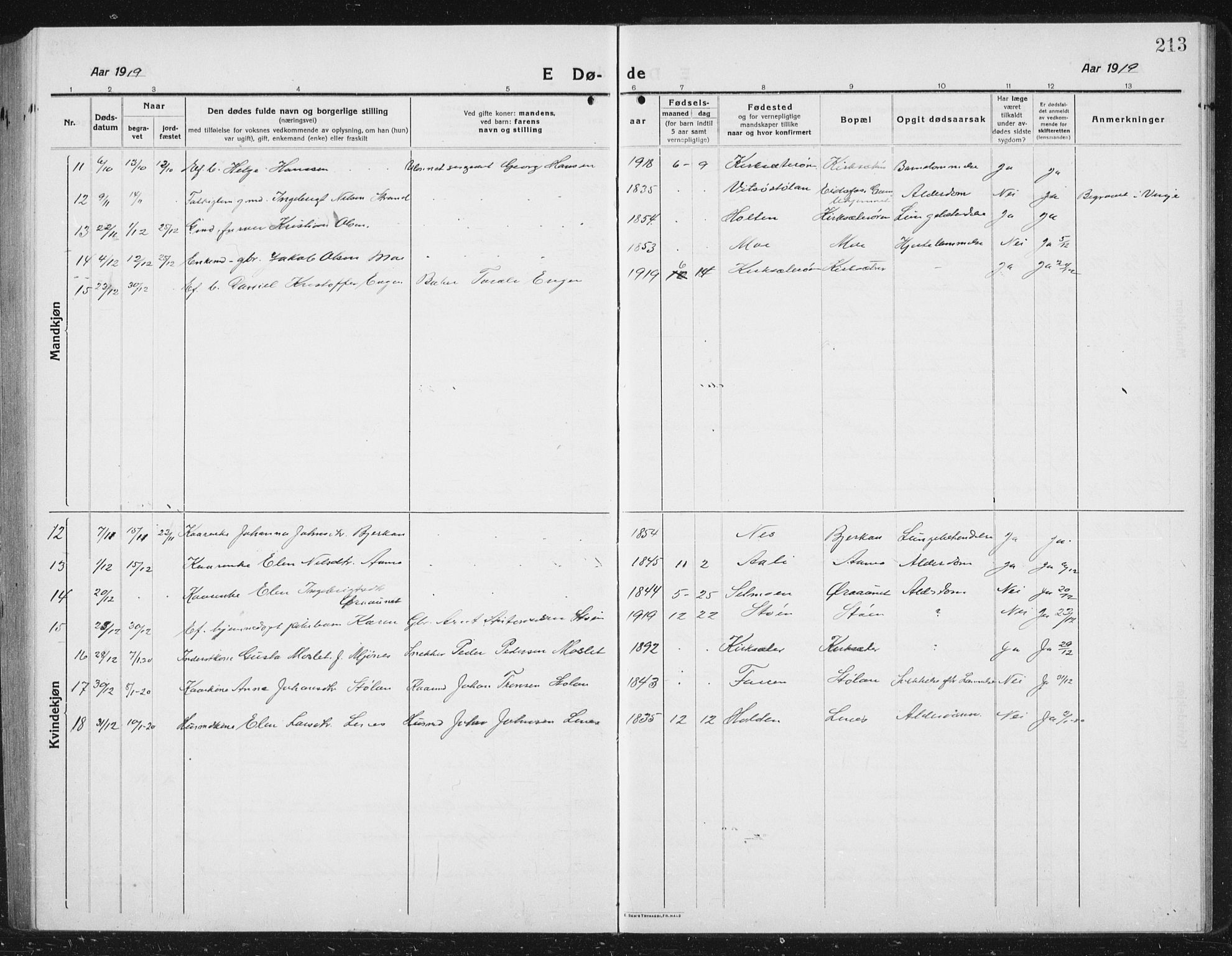 Ministerialprotokoller, klokkerbøker og fødselsregistre - Sør-Trøndelag, SAT/A-1456/630/L0506: Parish register (copy) no. 630C04, 1914-1933, p. 213
