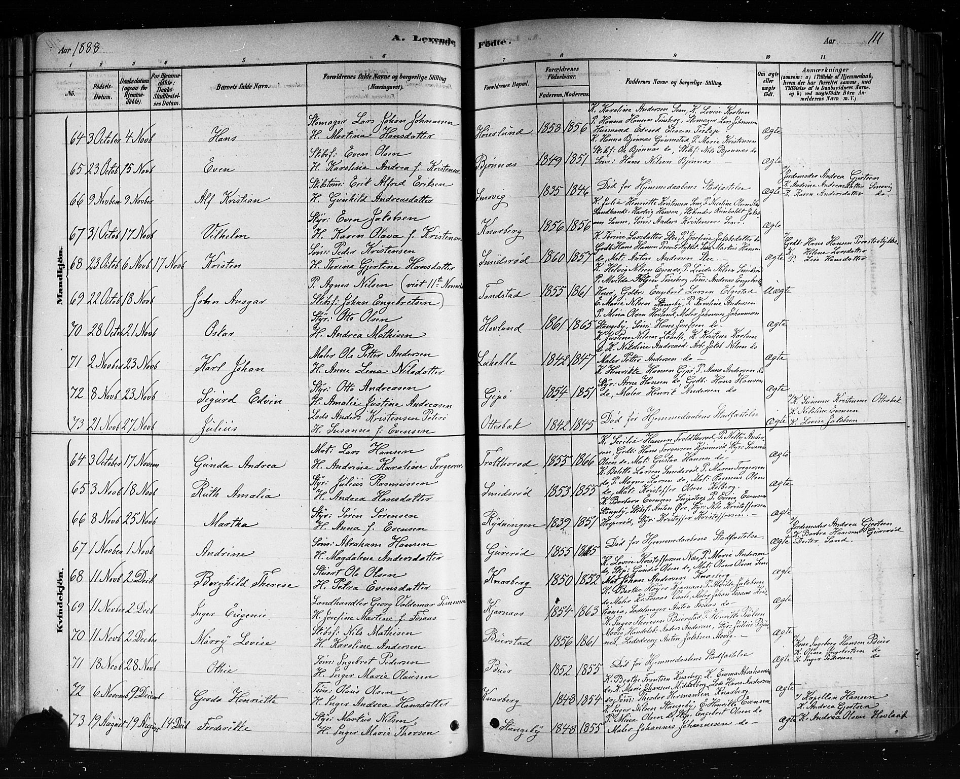 Nøtterøy kirkebøker, AV/SAKO-A-354/F/Fa/L0008: Parish register (official) no. I 8, 1878-1893, p. 111