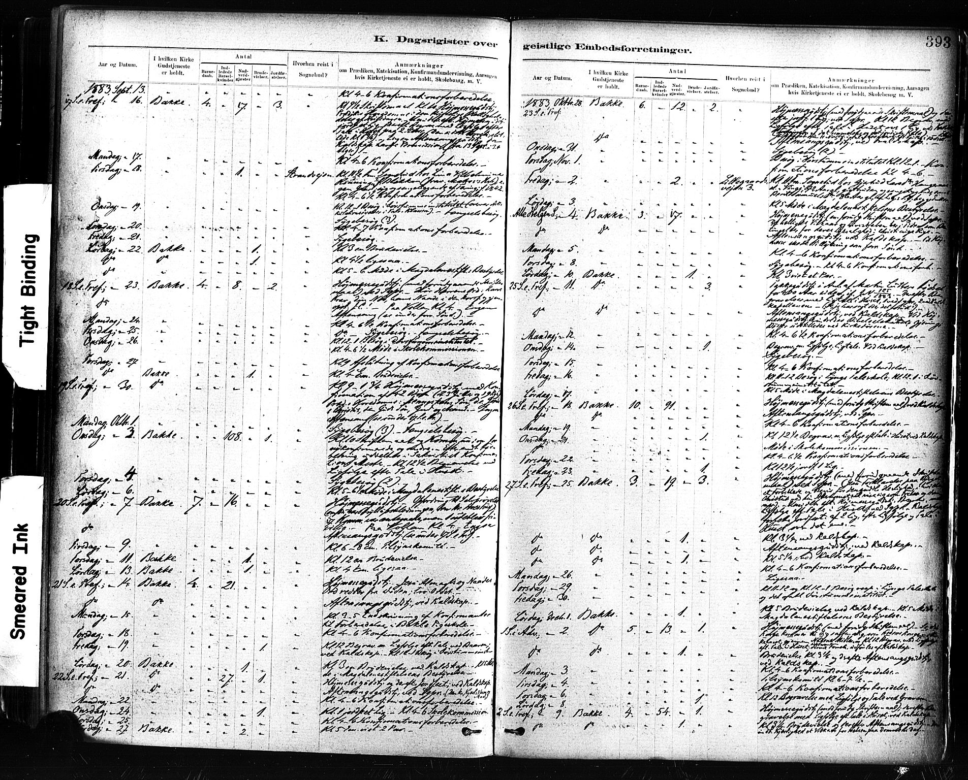 Ministerialprotokoller, klokkerbøker og fødselsregistre - Sør-Trøndelag, AV/SAT-A-1456/604/L0189: Parish register (official) no. 604A10, 1878-1892, p. 393