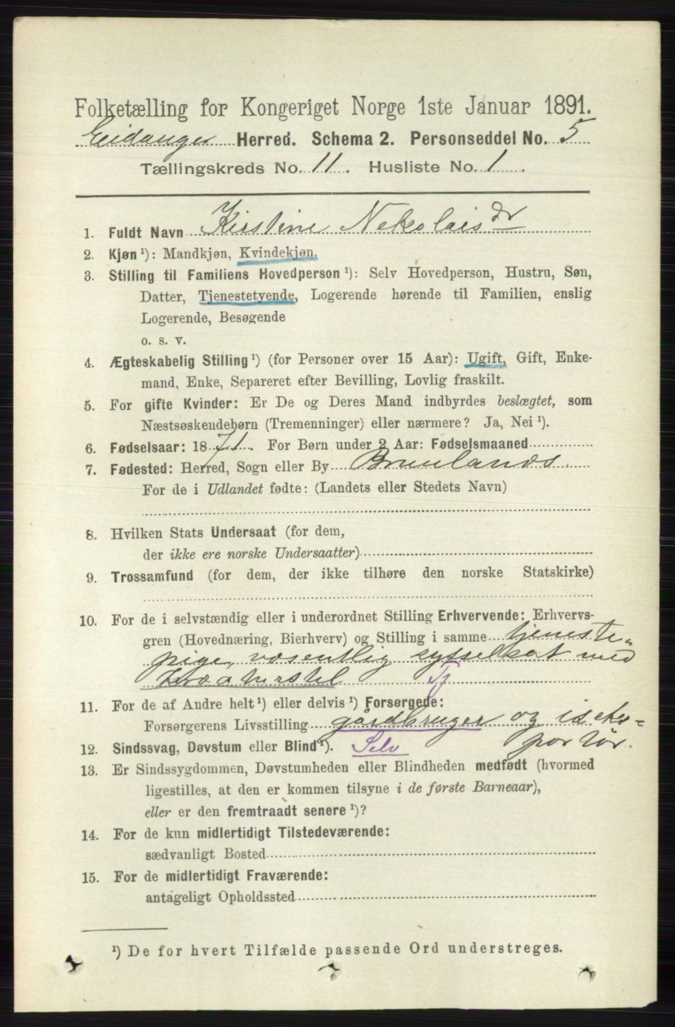 RA, 1891 census for 0813 Eidanger, 1891, p. 4241