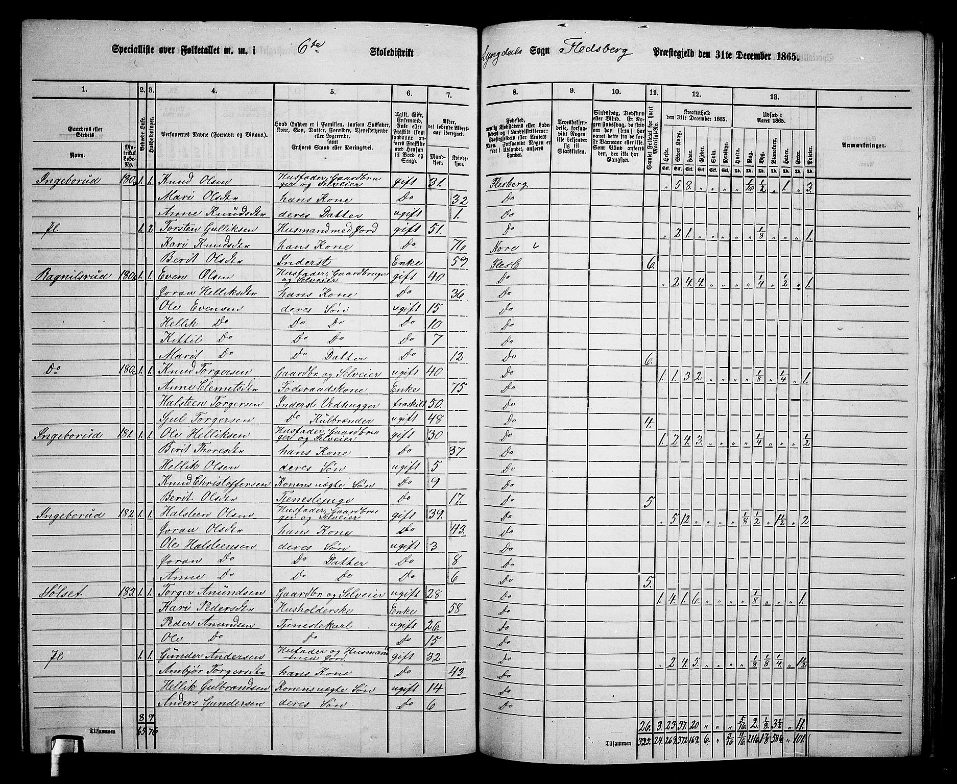 RA, 1865 census for Flesberg, 1865, p. 119