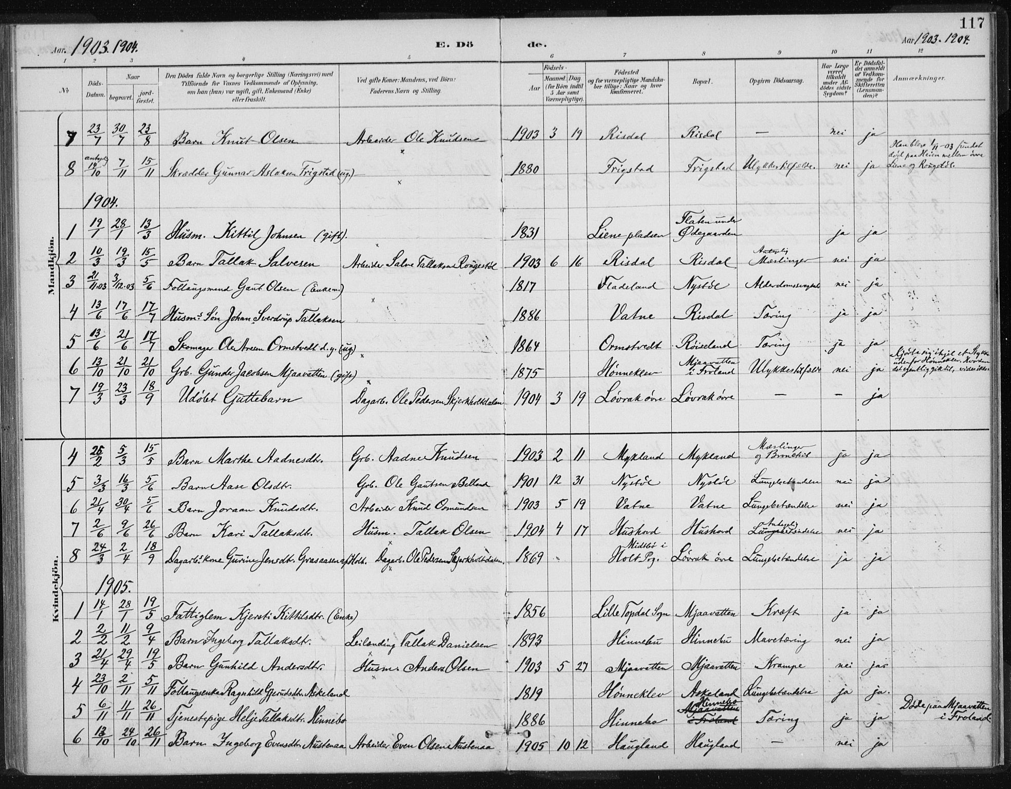 Herefoss sokneprestkontor, SAK/1111-0019/F/Fa/Fac/L0002: Parish register (official) no. A 2, 1887-1915, p. 117