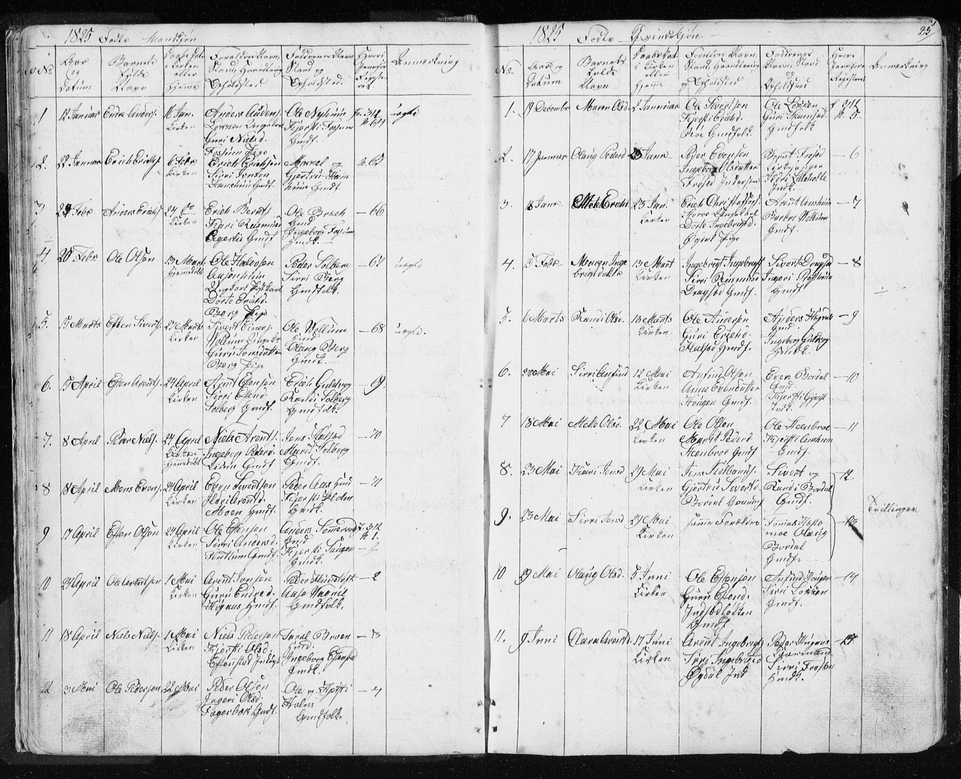 Ministerialprotokoller, klokkerbøker og fødselsregistre - Sør-Trøndelag, SAT/A-1456/689/L1043: Parish register (copy) no. 689C02, 1816-1892, p. 25