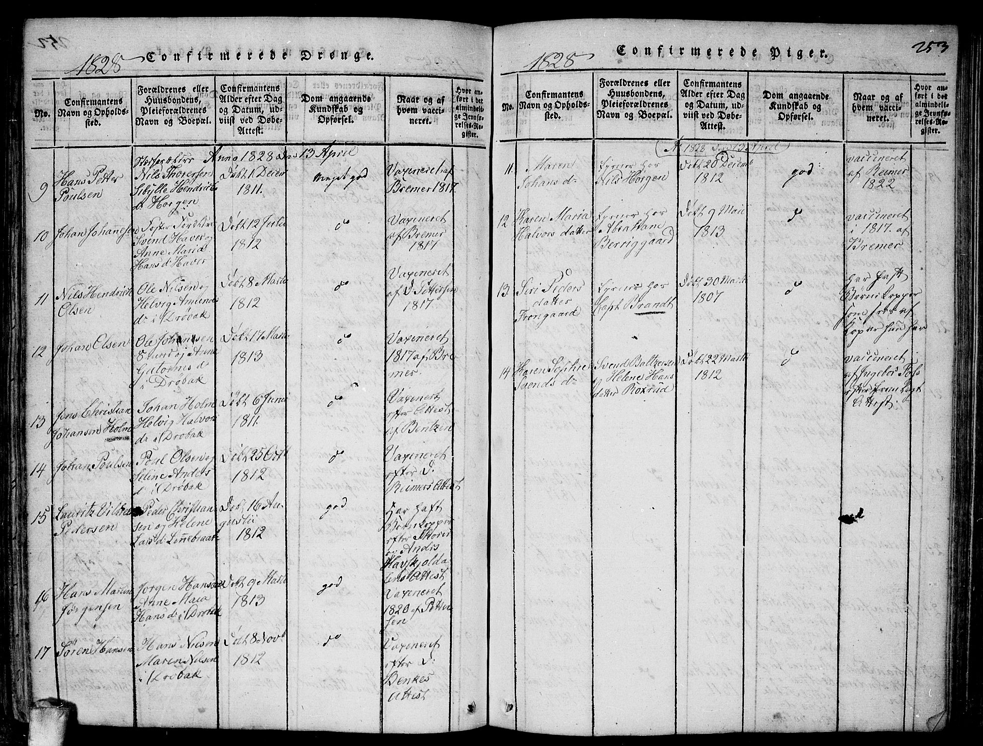 Drøbak prestekontor Kirkebøker, SAO/A-10142a/F/Fa/L0001: Parish register (official) no. I 1, 1816-1842, p. 253