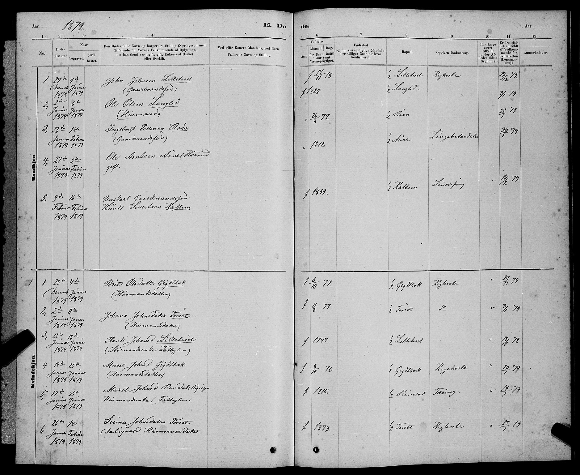 Ministerialprotokoller, klokkerbøker og fødselsregistre - Møre og Romsdal, SAT/A-1454/598/L1077: Parish register (copy) no. 598C02, 1879-1891, p. 223