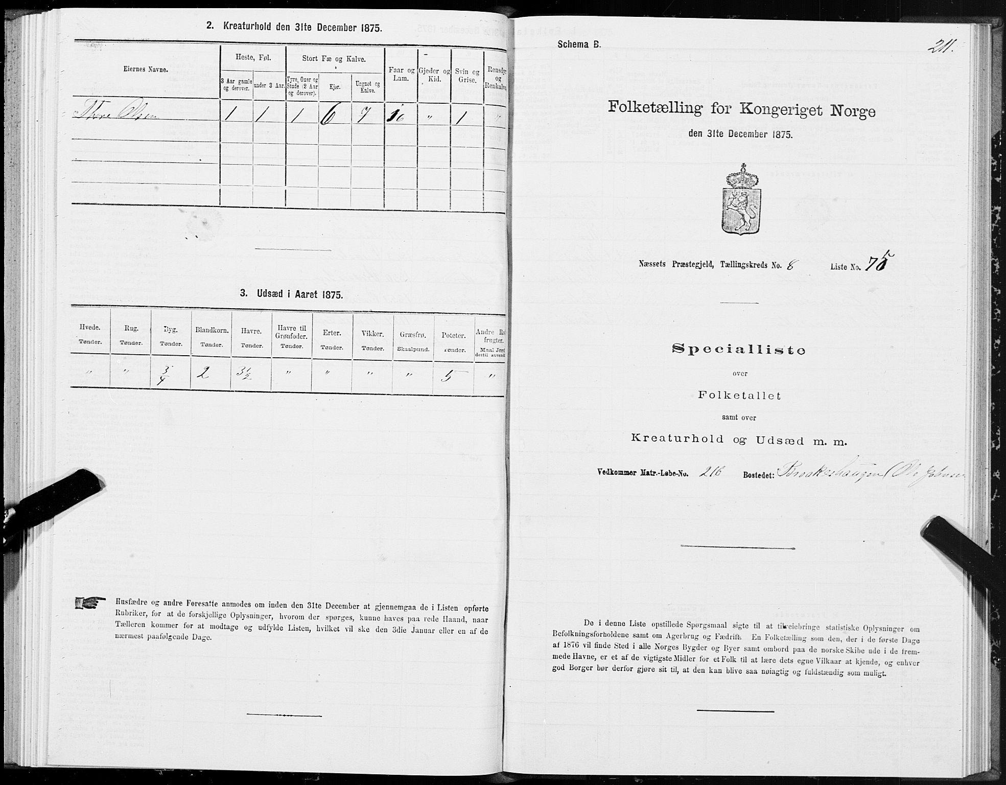 SAT, 1875 census for 1543P Nesset, 1875, p. 4211