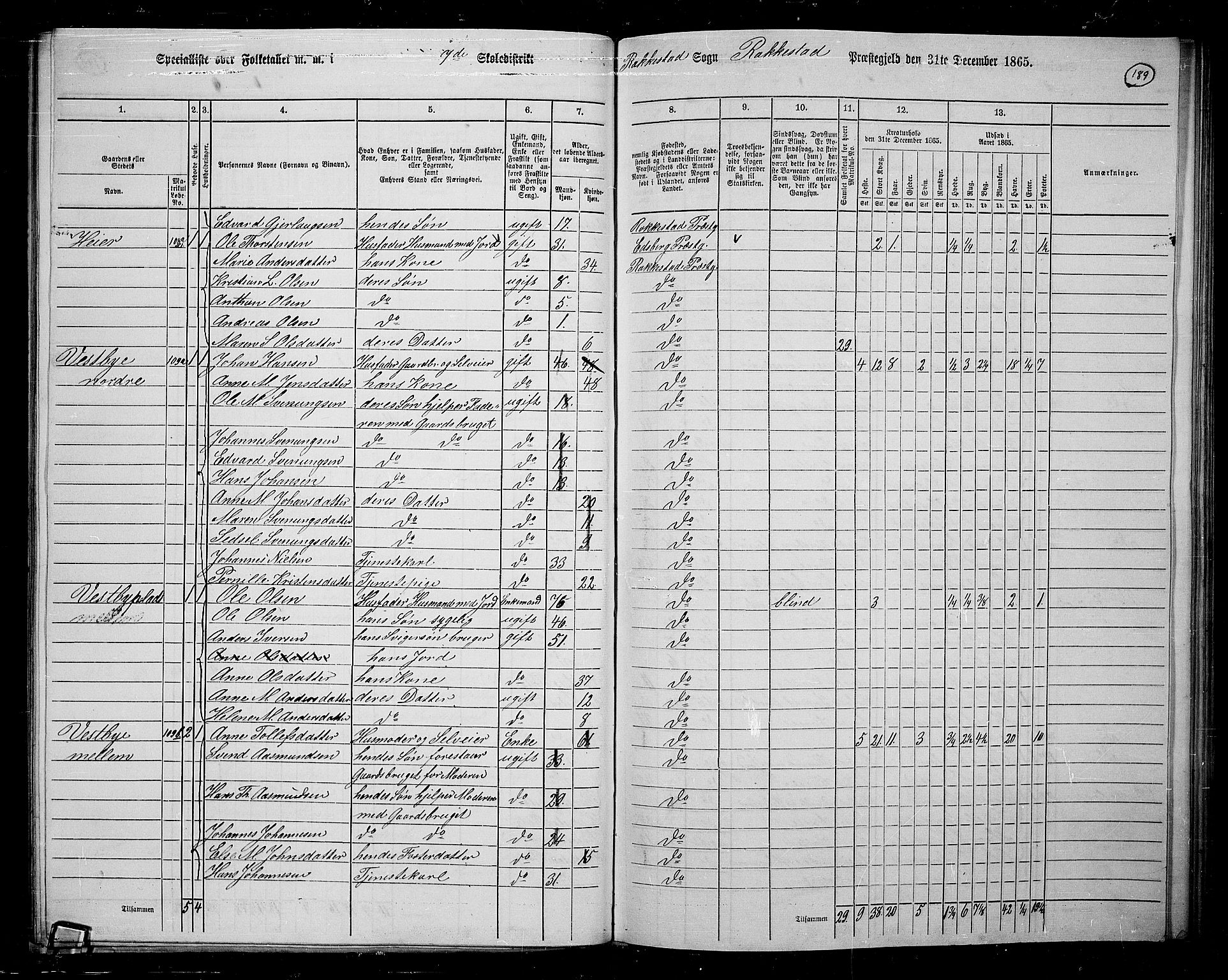 RA, 1865 census for Rakkestad, 1865, p. 181