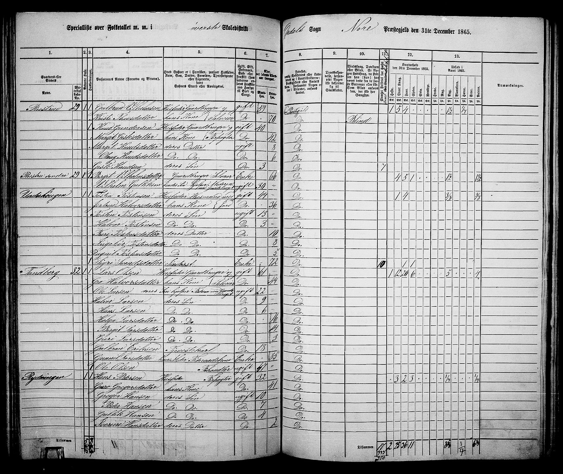 RA, 1865 census for Nore, 1865, p. 131