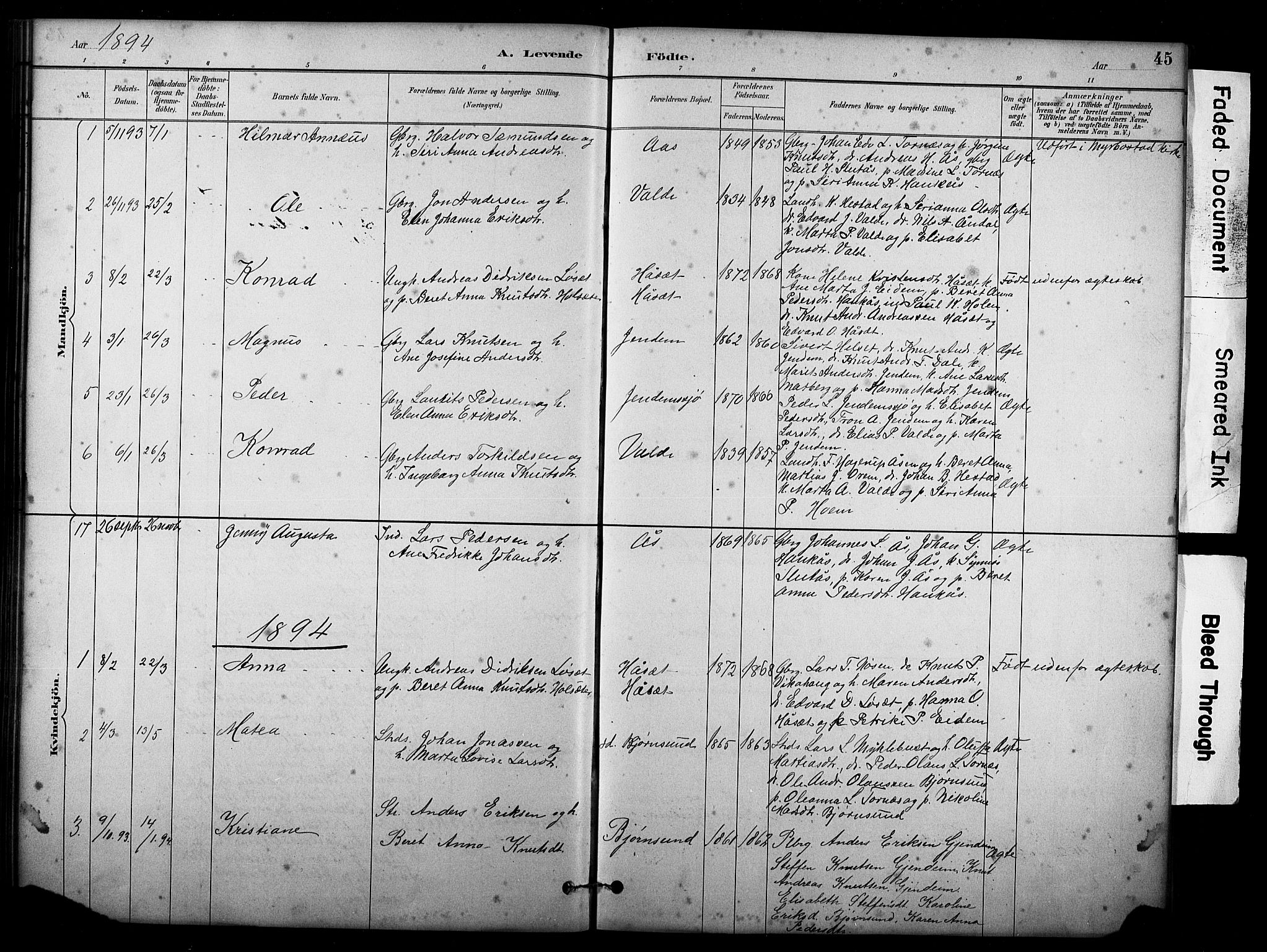 Ministerialprotokoller, klokkerbøker og fødselsregistre - Møre og Romsdal, SAT/A-1454/565/L0755: Parish register (copy) no. 565C04, 1883-1903, p. 45