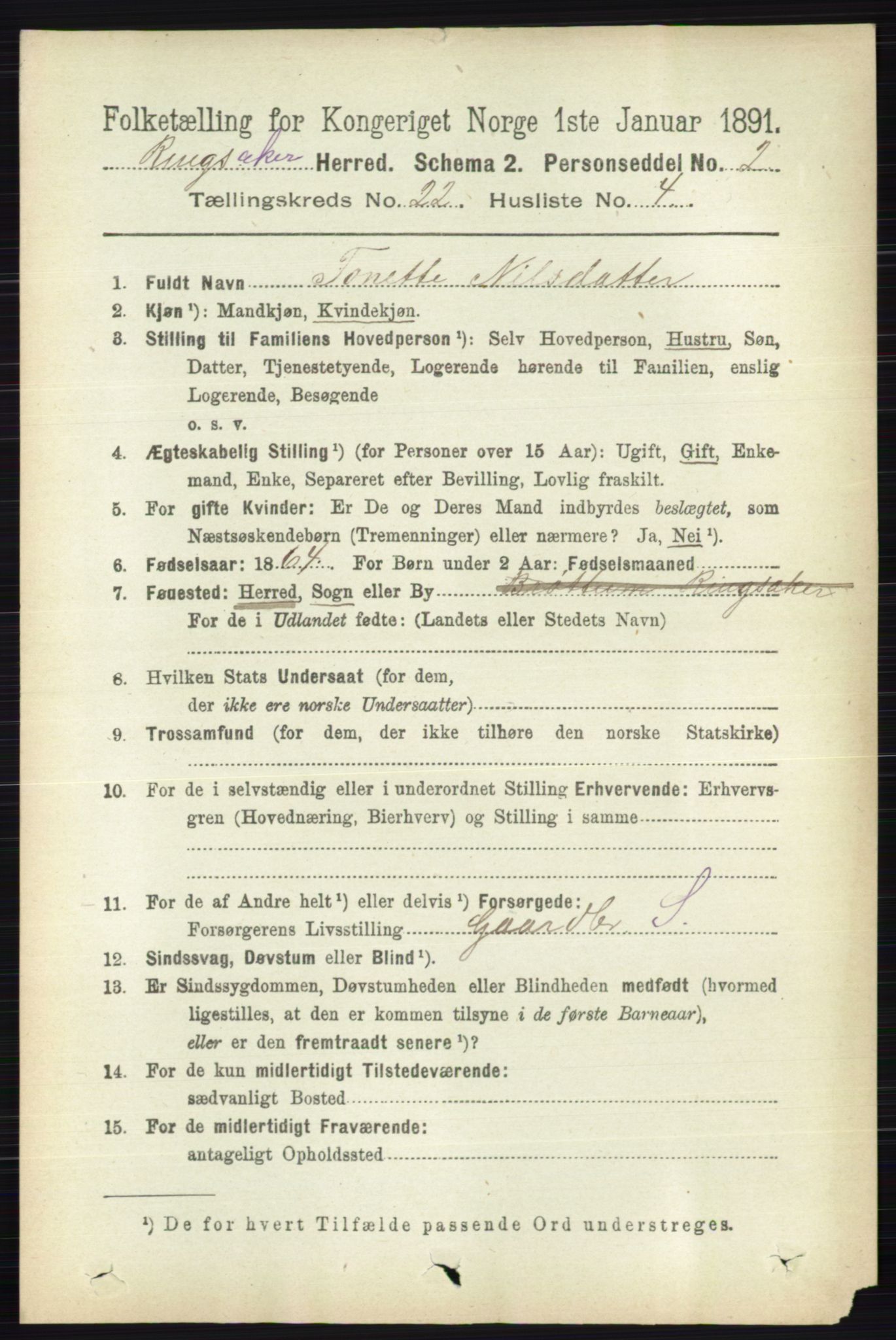 RA, 1891 census for 0412 Ringsaker, 1891, p. 12392