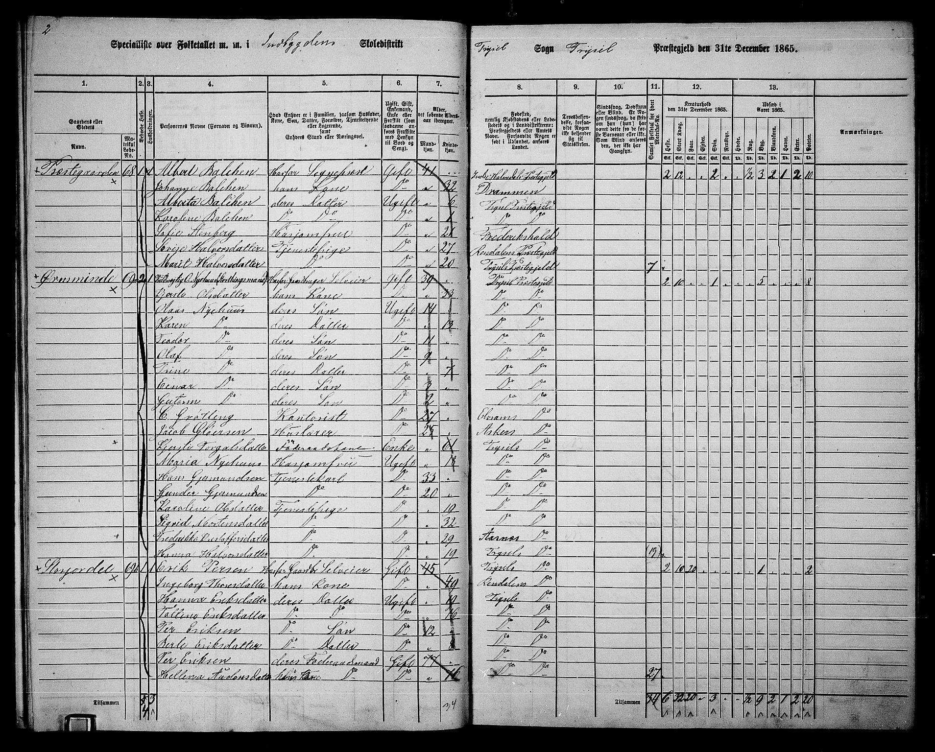 RA, 1865 census for Trysil, 1865, p. 19