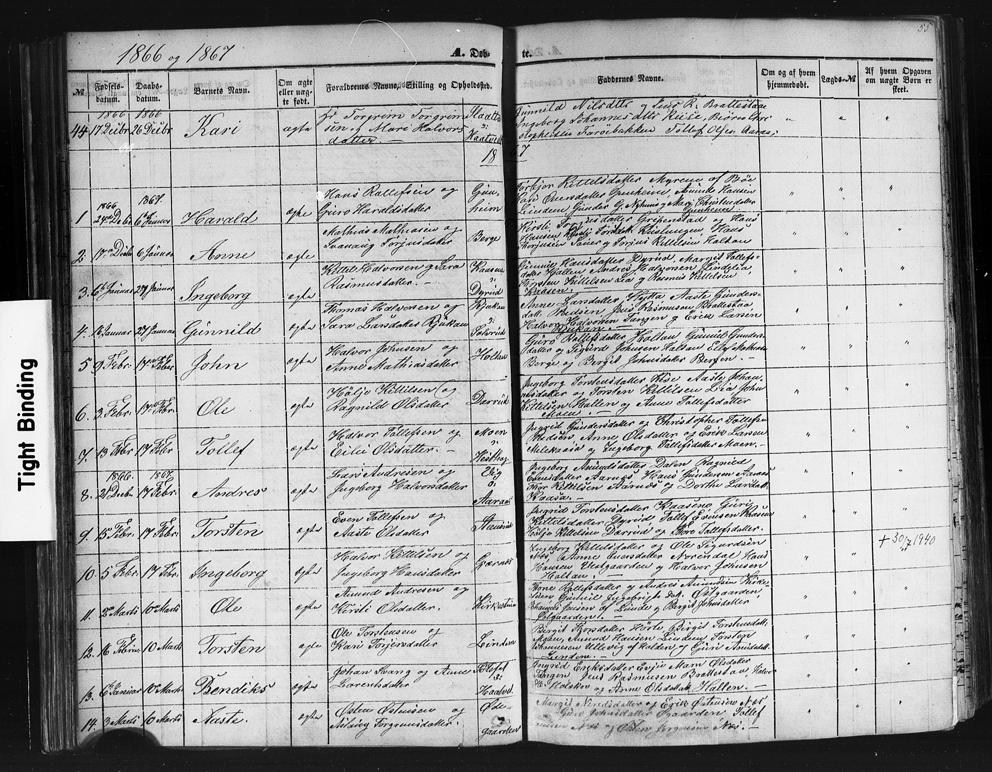 Sauherad kirkebøker, SAKO/A-298/F/Fb/L0001: Parish register (official) no. II 1, 1851-1877, p. 55