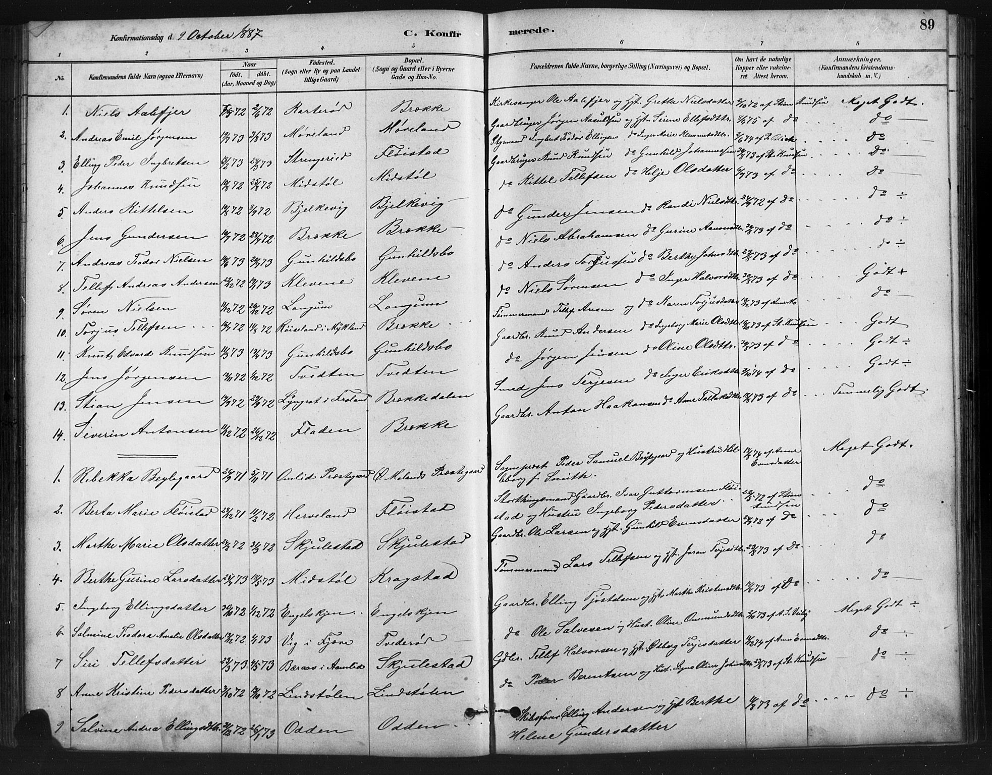 Austre Moland sokneprestkontor, SAK/1111-0001/F/Fb/Fba/L0003: Parish register (copy) no. B 3, 1879-1914, p. 89
