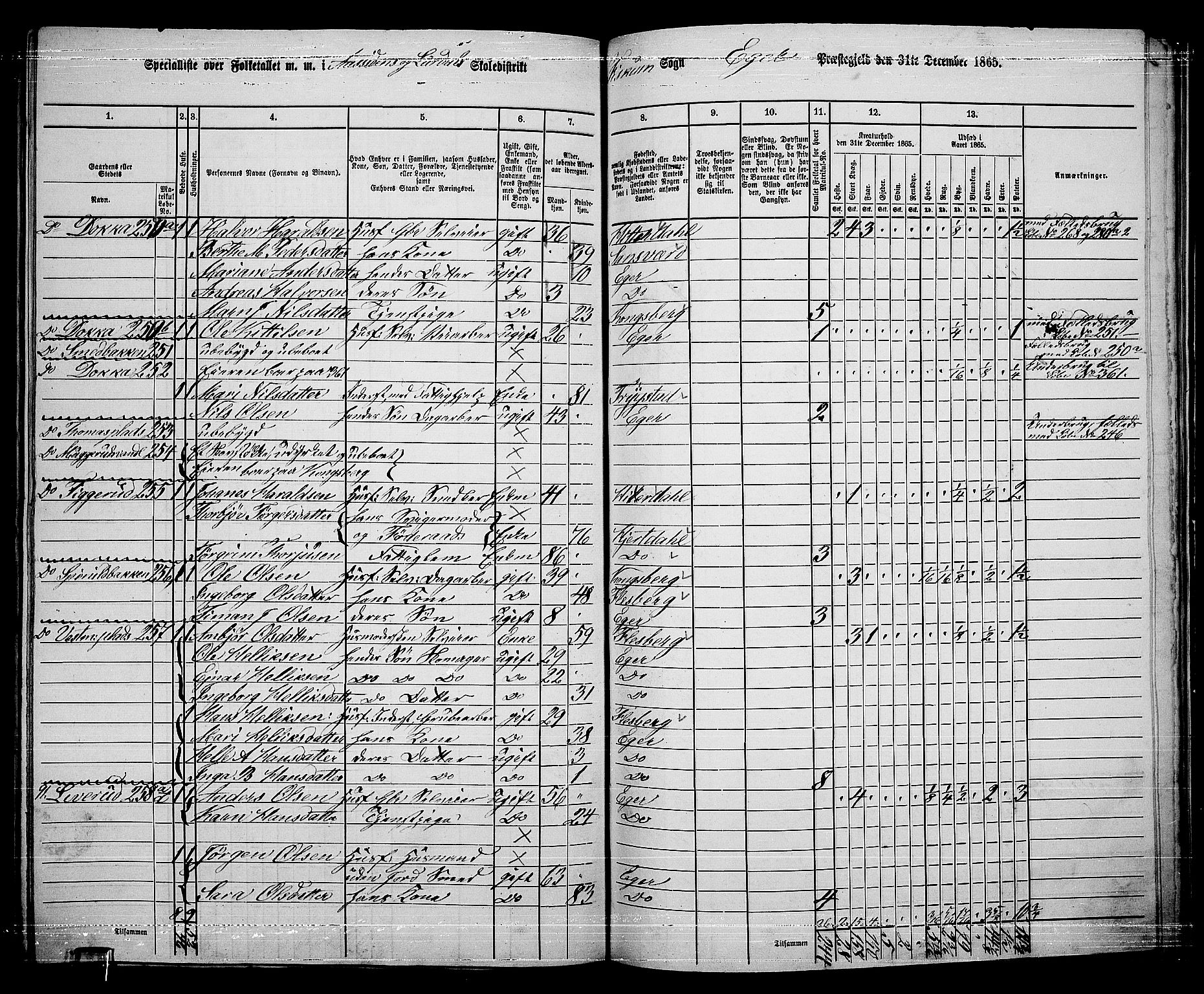 RA, 1865 census for Eiker, 1865, p. 504