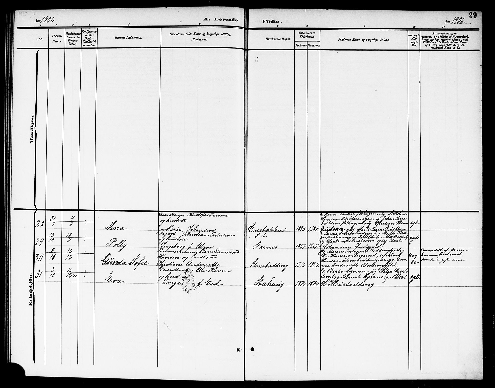 Nes prestekontor Kirkebøker, AV/SAO-A-10410/G/Gc/L0001: Parish register (copy) no. III 1, 1901-1917, p. 29