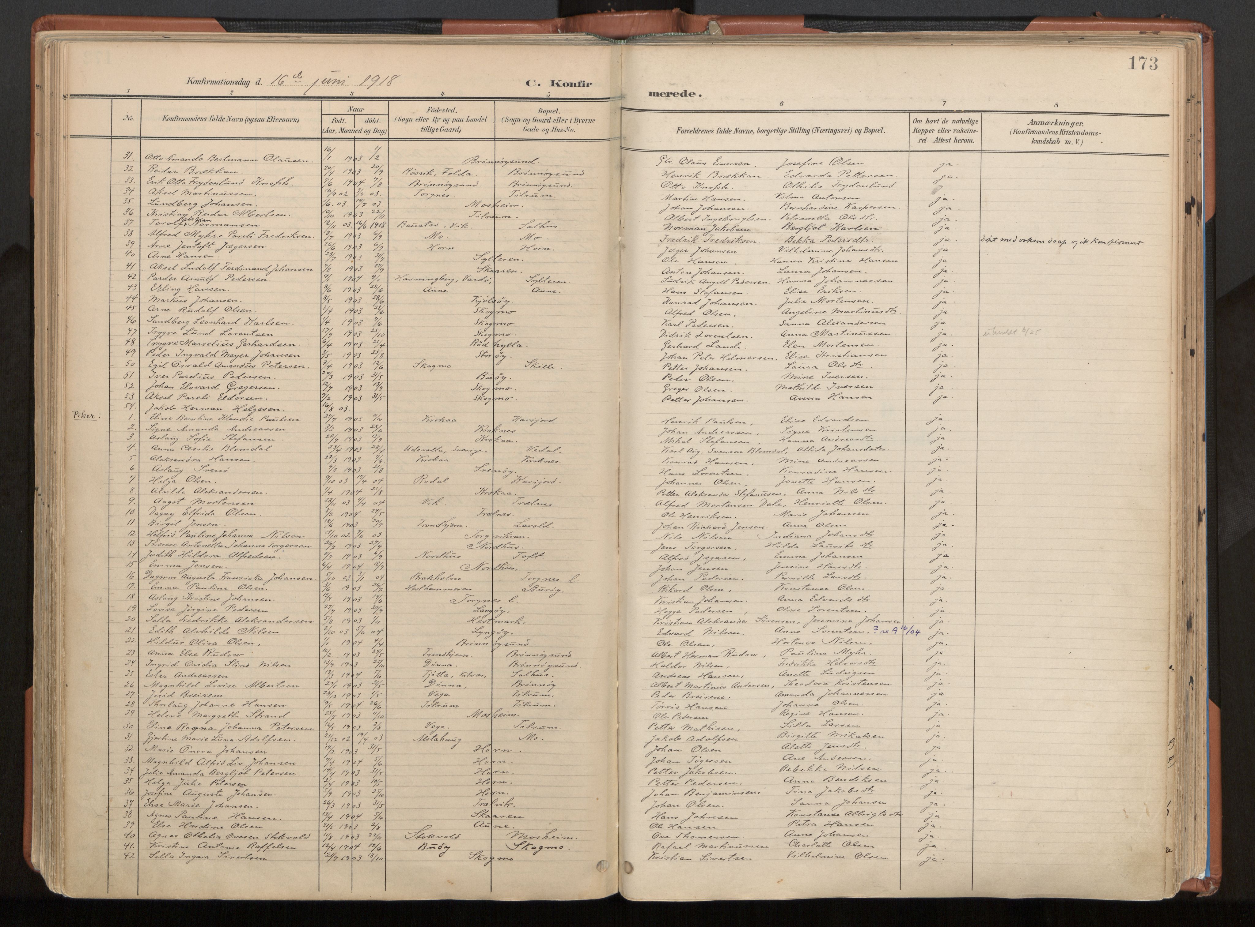 Ministerialprotokoller, klokkerbøker og fødselsregistre - Nordland, AV/SAT-A-1459/813/L0201: Parish register (official) no. 813A11, 1901-1918, p. 173