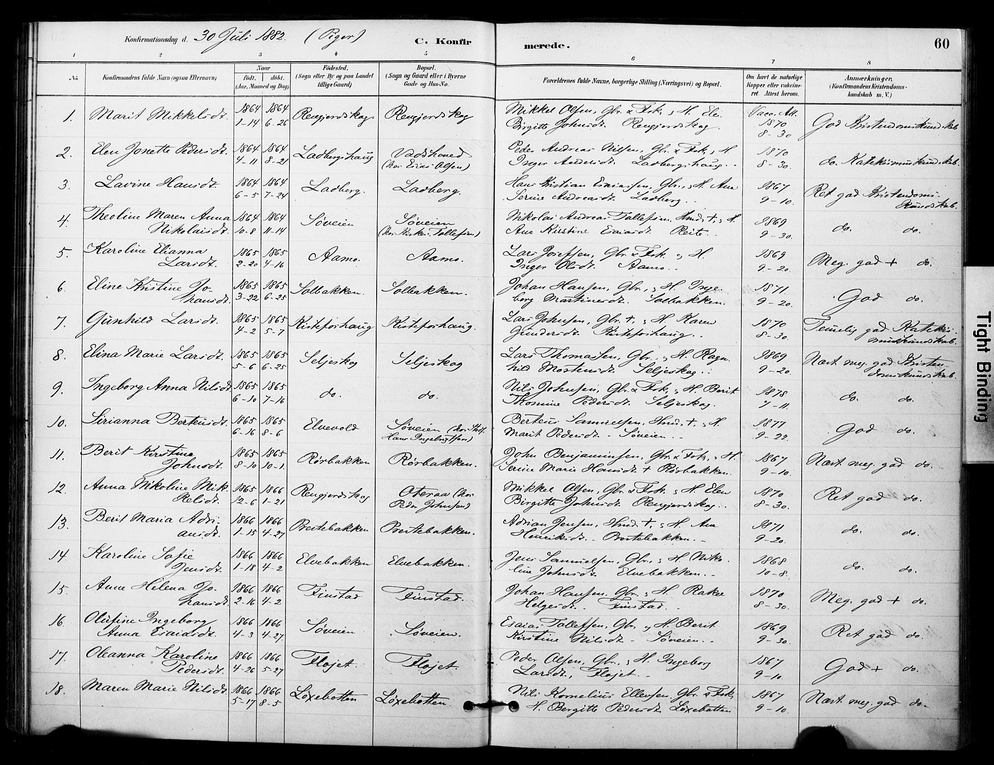 Ibestad sokneprestembete, AV/SATØ-S-0077/H/Ha/Haa/L0014kirke: Parish register (official) no. 14, 1880-1887, p. 60