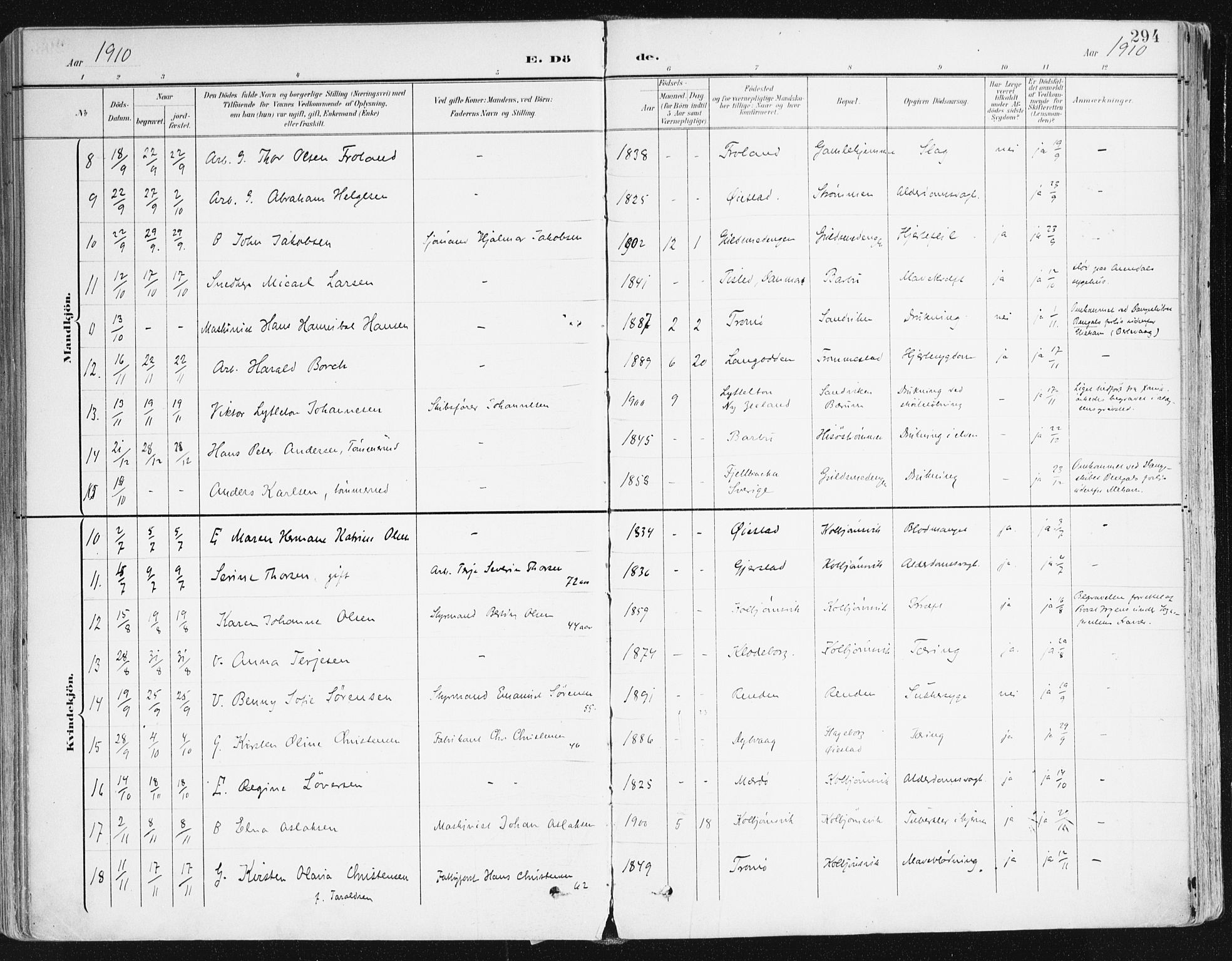 Hisøy sokneprestkontor, SAK/1111-0020/F/Fa/L0004: Parish register (official) no. A 4, 1895-1917, p. 294