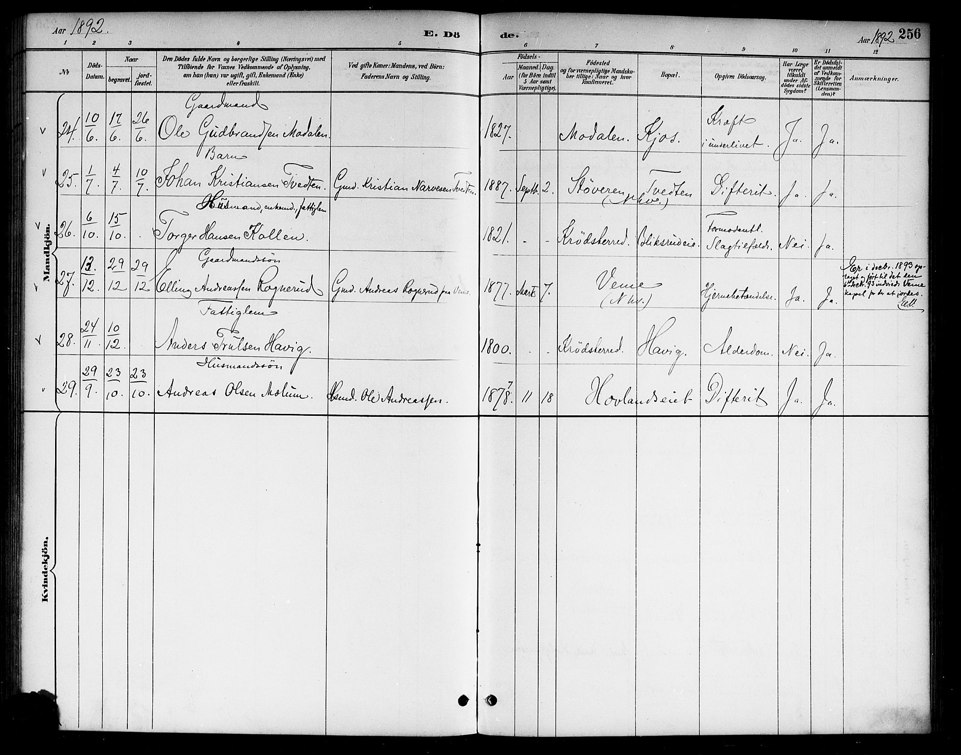 Lunder kirkebøker, SAKO/A-629/G/Ga/L0004: Parish register (copy) no. I 4, 1889-1917, p. 256