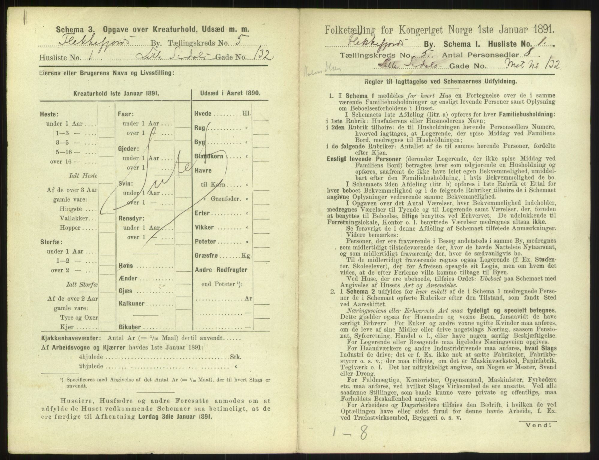 RA, 1891 census for 1004 Flekkefjord, 1891, p. 206