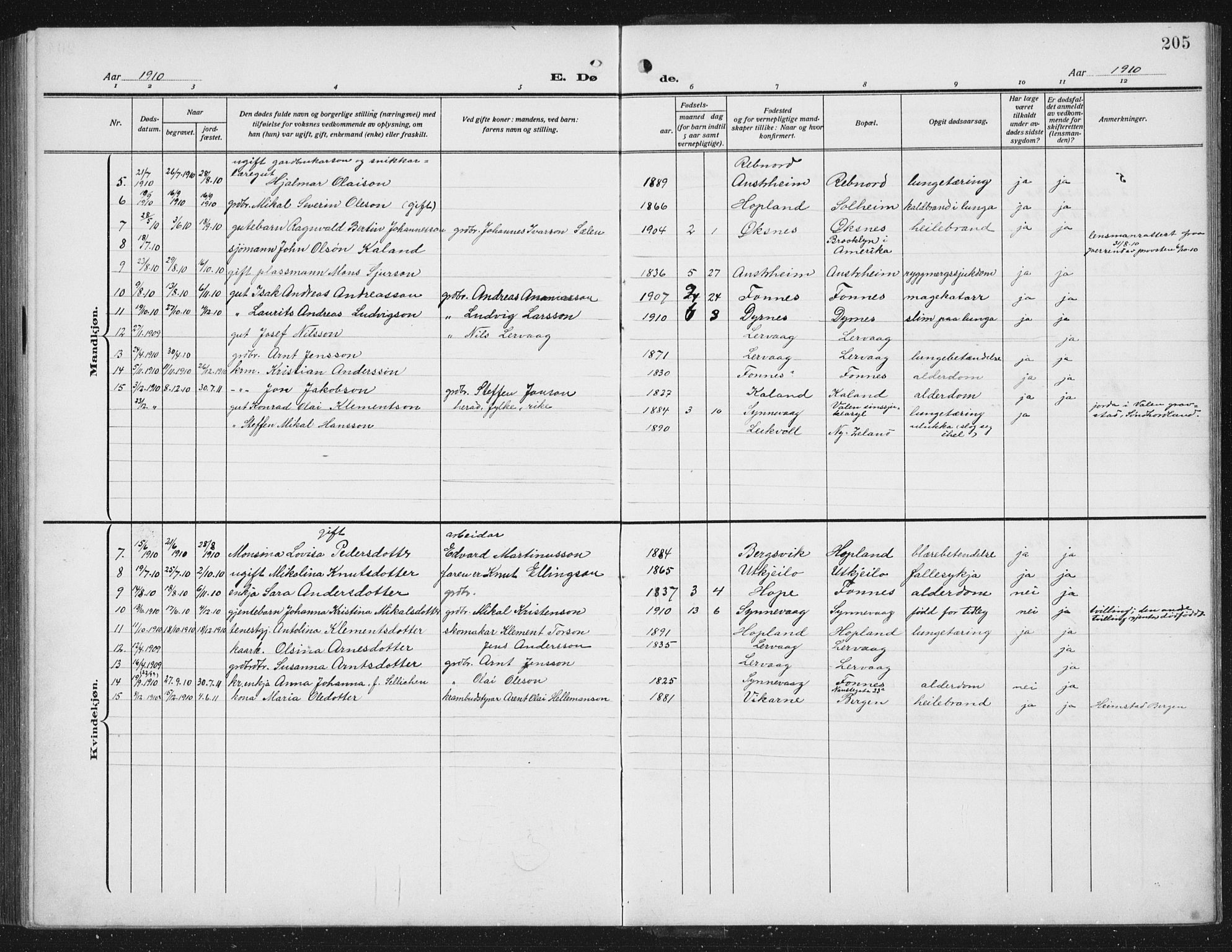 Lindås Sokneprestembete, AV/SAB-A-76701/H/Hab/Habc/L0005: Parish register (copy) no. C 5, 1910-1927, p. 205
