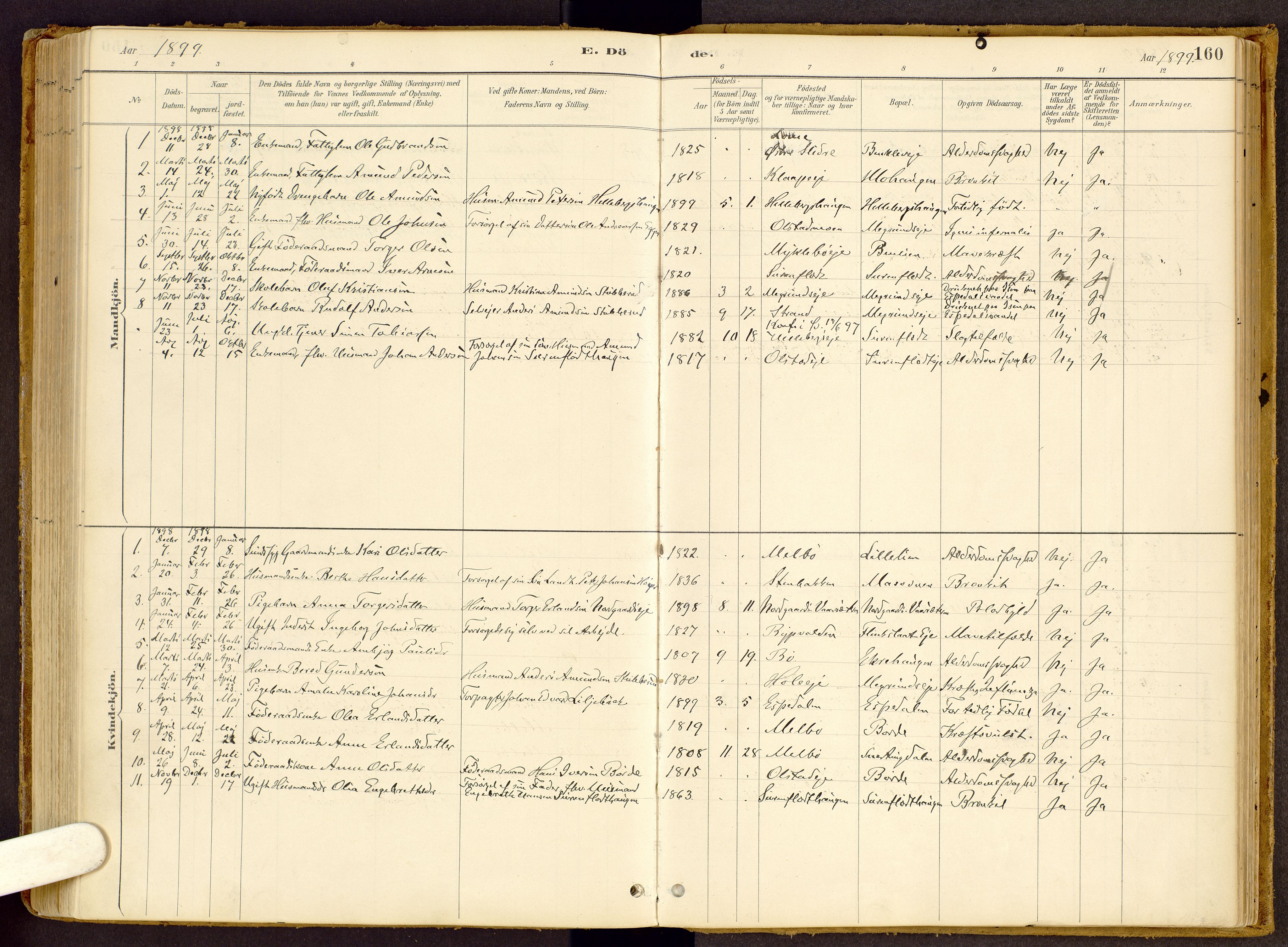 Vestre Gausdal prestekontor, SAH/PREST-094/H/Ha/Haa/L0002: Parish register (official) no. 2, 1887-1918, p. 160