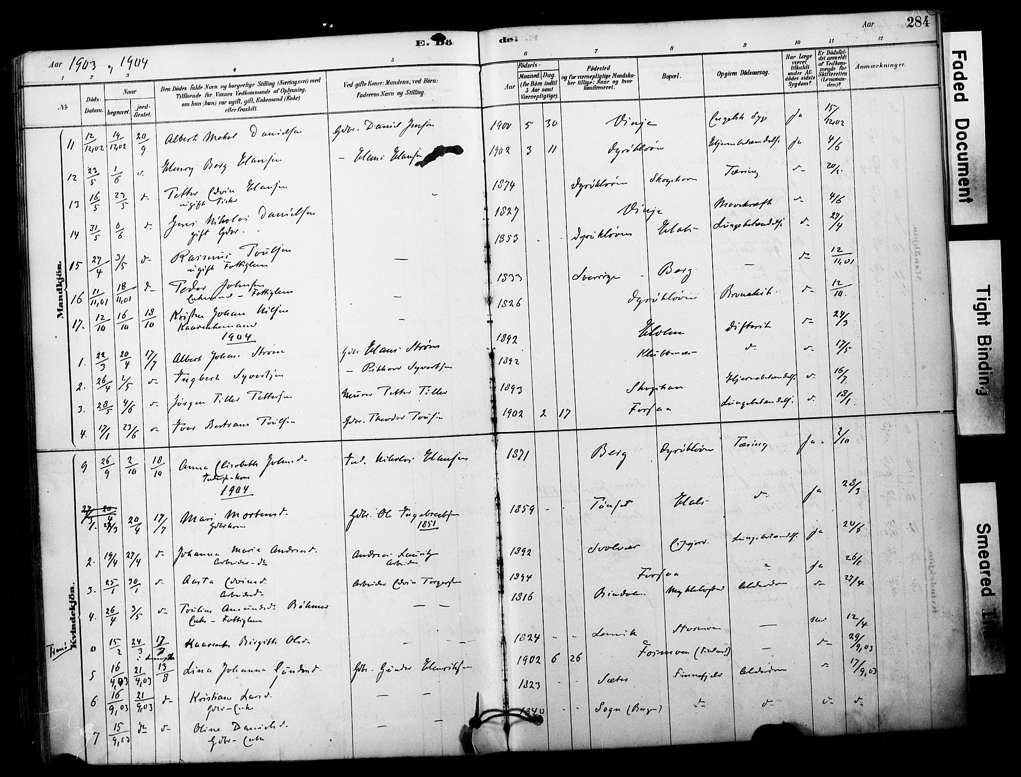 Tranøy sokneprestkontor, AV/SATØ-S-1313/I/Ia/Iaa/L0011kirke: Parish register (official) no. 11, 1878-1904, p. 284