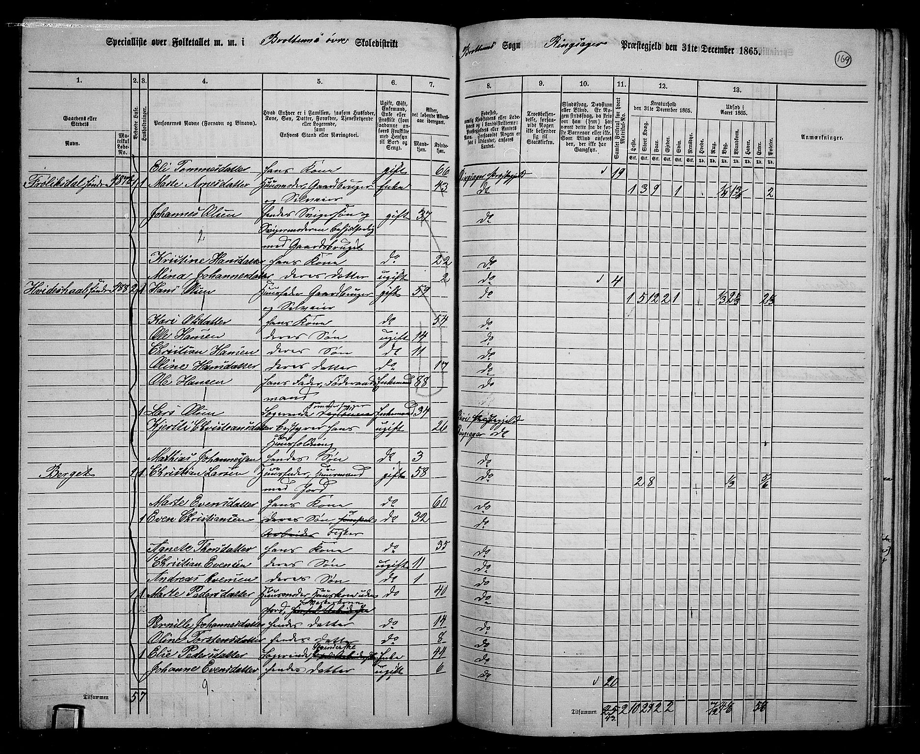 RA, 1865 census for Ringsaker, 1865, p. 413