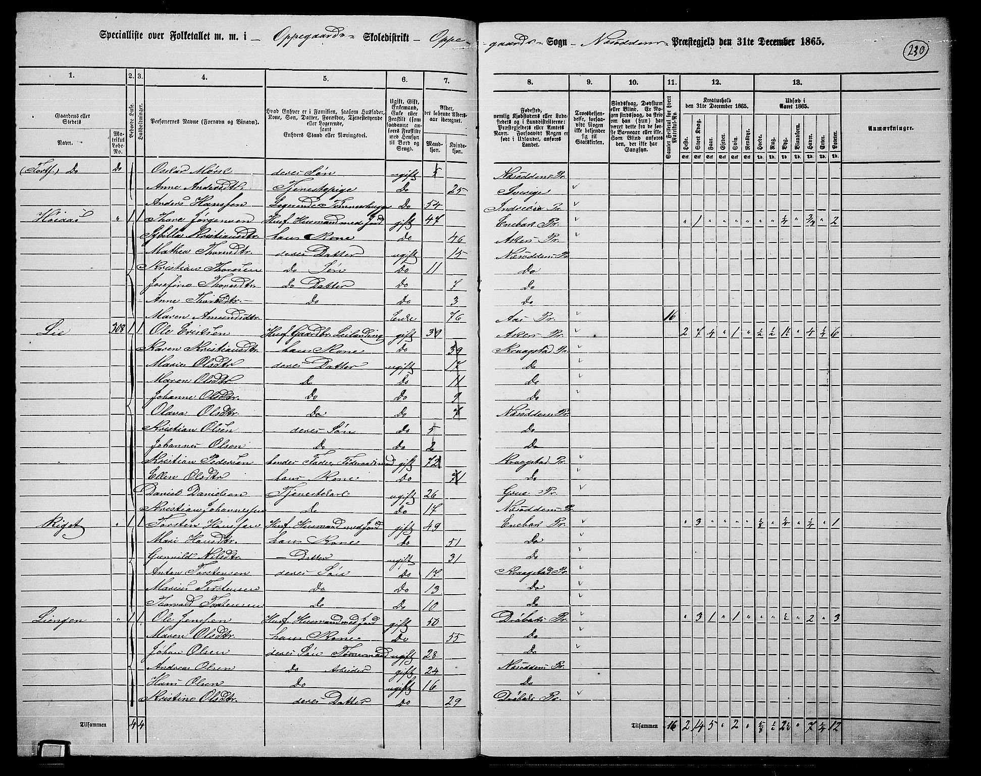 RA, 1865 census for Nesodden, 1865, p. 67