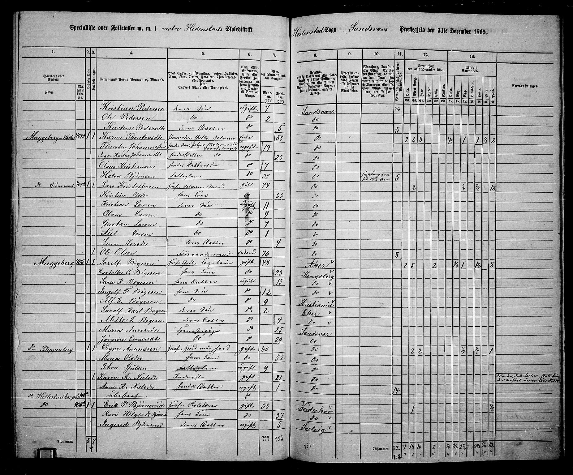 RA, 1865 census for Sandsvær, 1865, p. 146