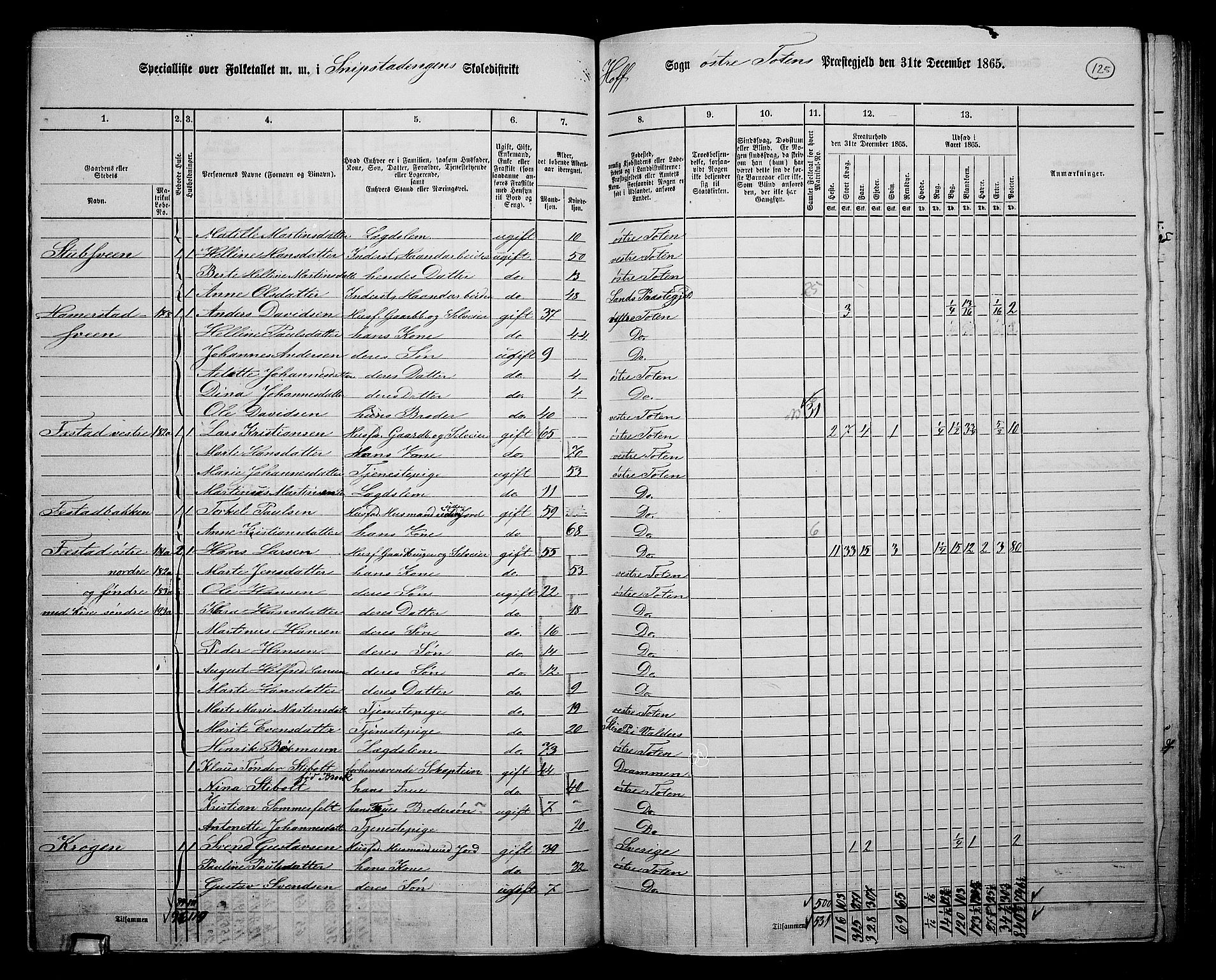 RA, 1865 census for Østre Toten, 1865, p. 245