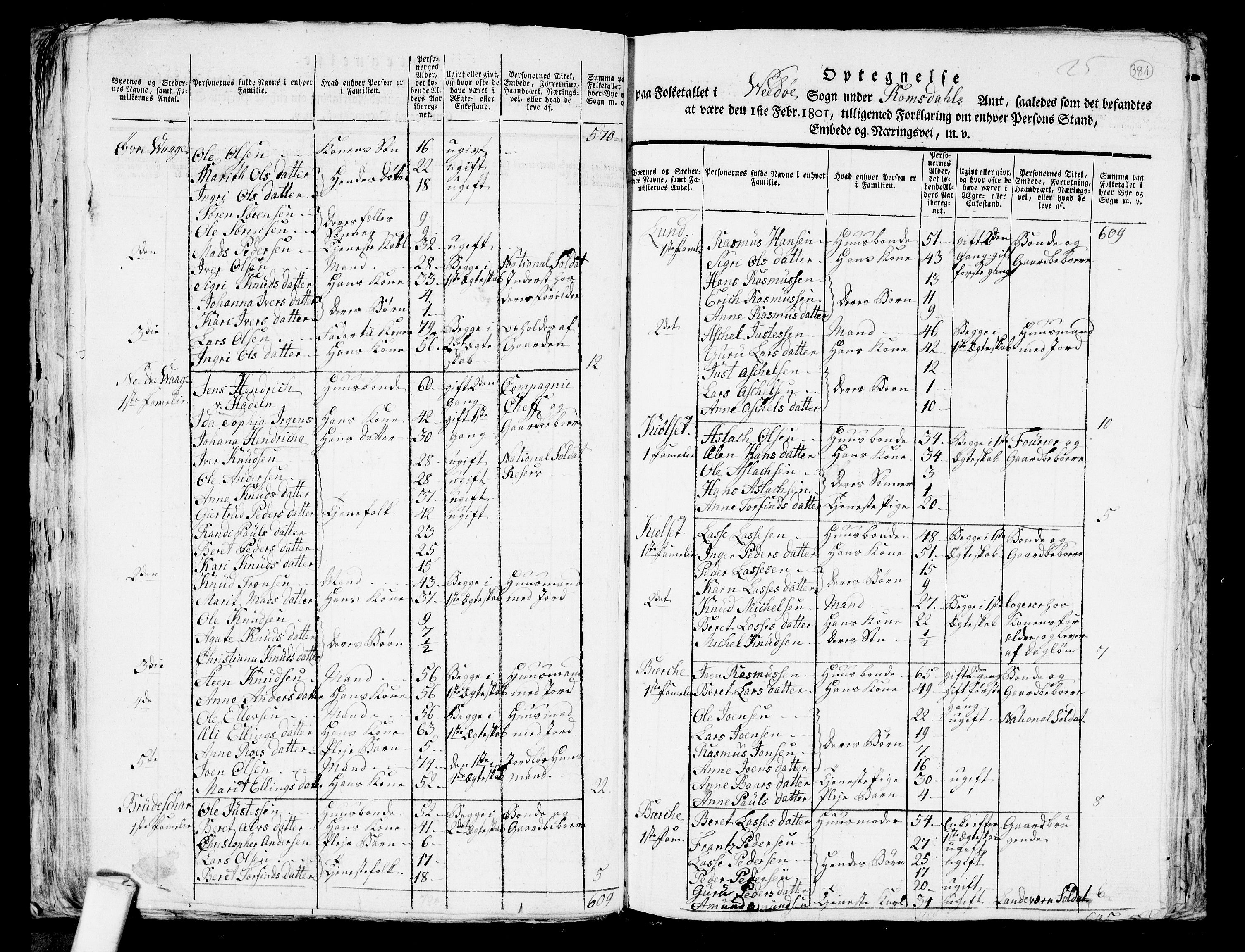 RA, 1801 census for 1541P Veøy, 1801, p. 380b-381a