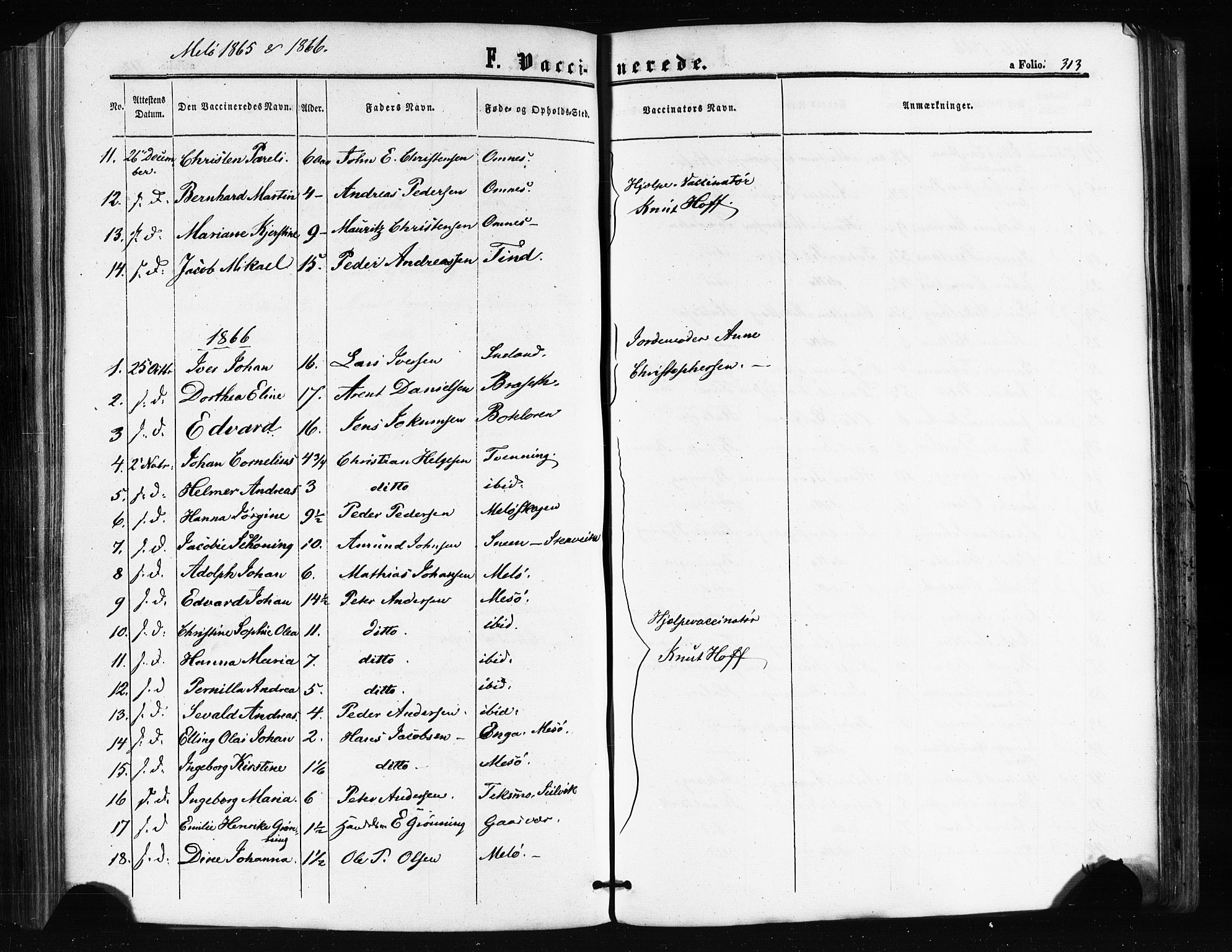 Ministerialprotokoller, klokkerbøker og fødselsregistre - Nordland, SAT/A-1459/841/L0607: Parish register (official) no. 841A11 /2, 1863-1877, p. 313