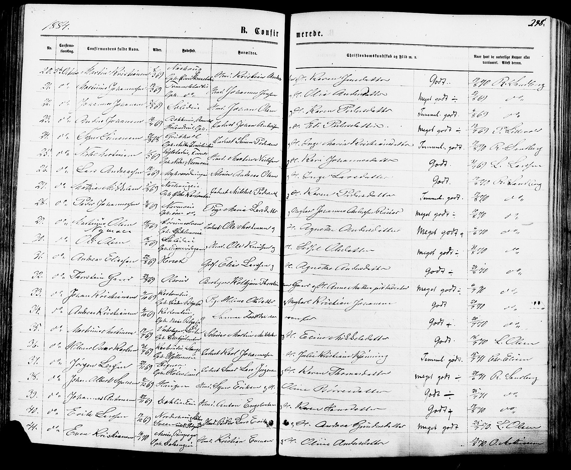 Vang prestekontor, Hedmark, AV/SAH-PREST-008/H/Ha/Haa/L0015: Parish register (official) no. 15, 1871-1885, p. 248