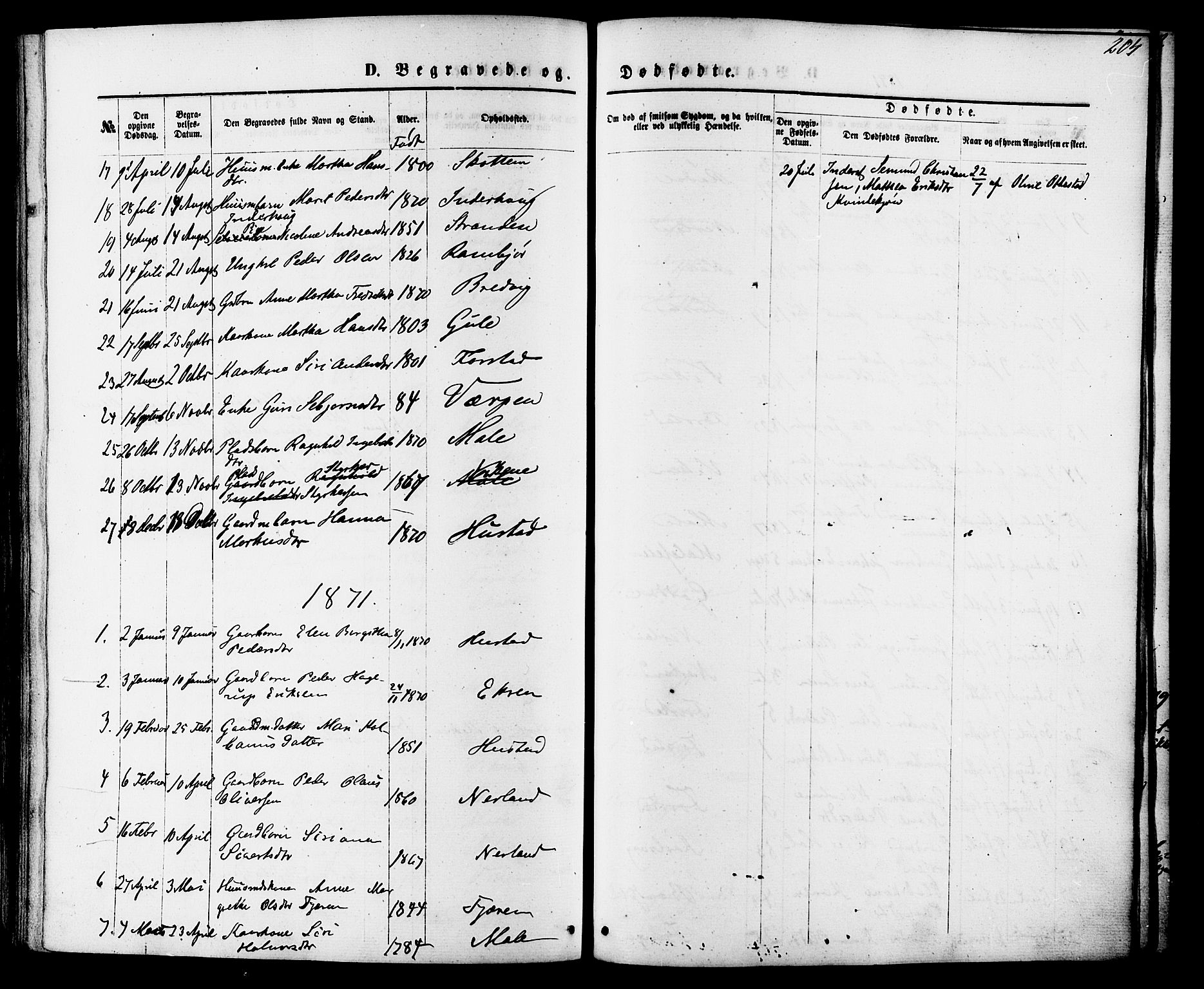 Ministerialprotokoller, klokkerbøker og fødselsregistre - Møre og Romsdal, AV/SAT-A-1454/566/L0768: Parish register (official) no. 566A07, 1869-1881, p. 204