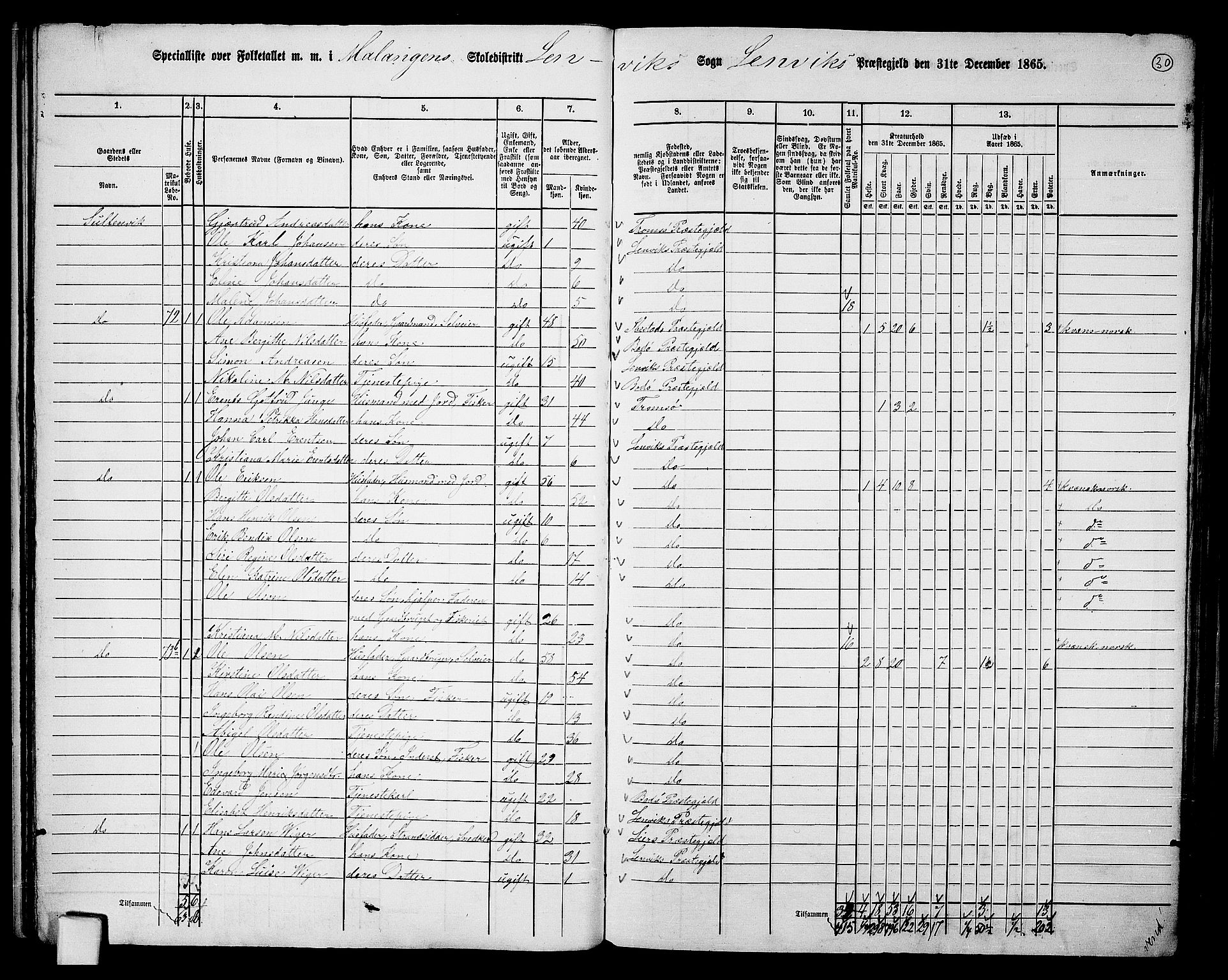 RA, 1865 census for Lenvik, 1865, p. 29