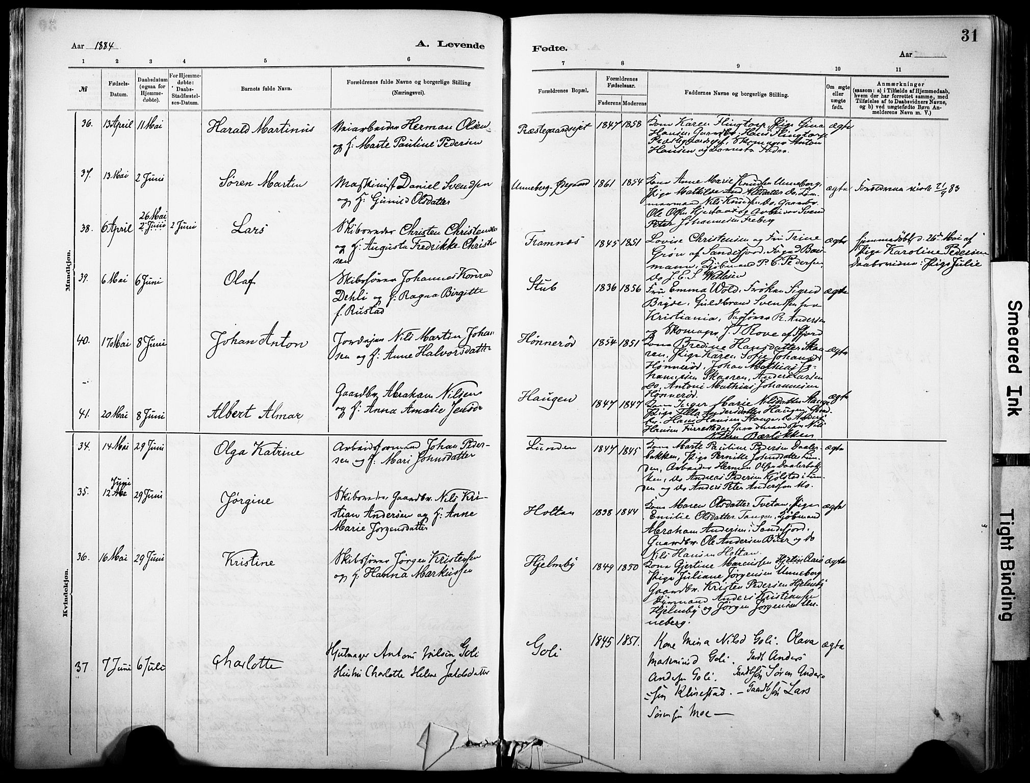 Sandar kirkebøker, SAKO/A-243/F/Fa/L0012: Parish register (official) no. 12, 1883-1895, p. 31