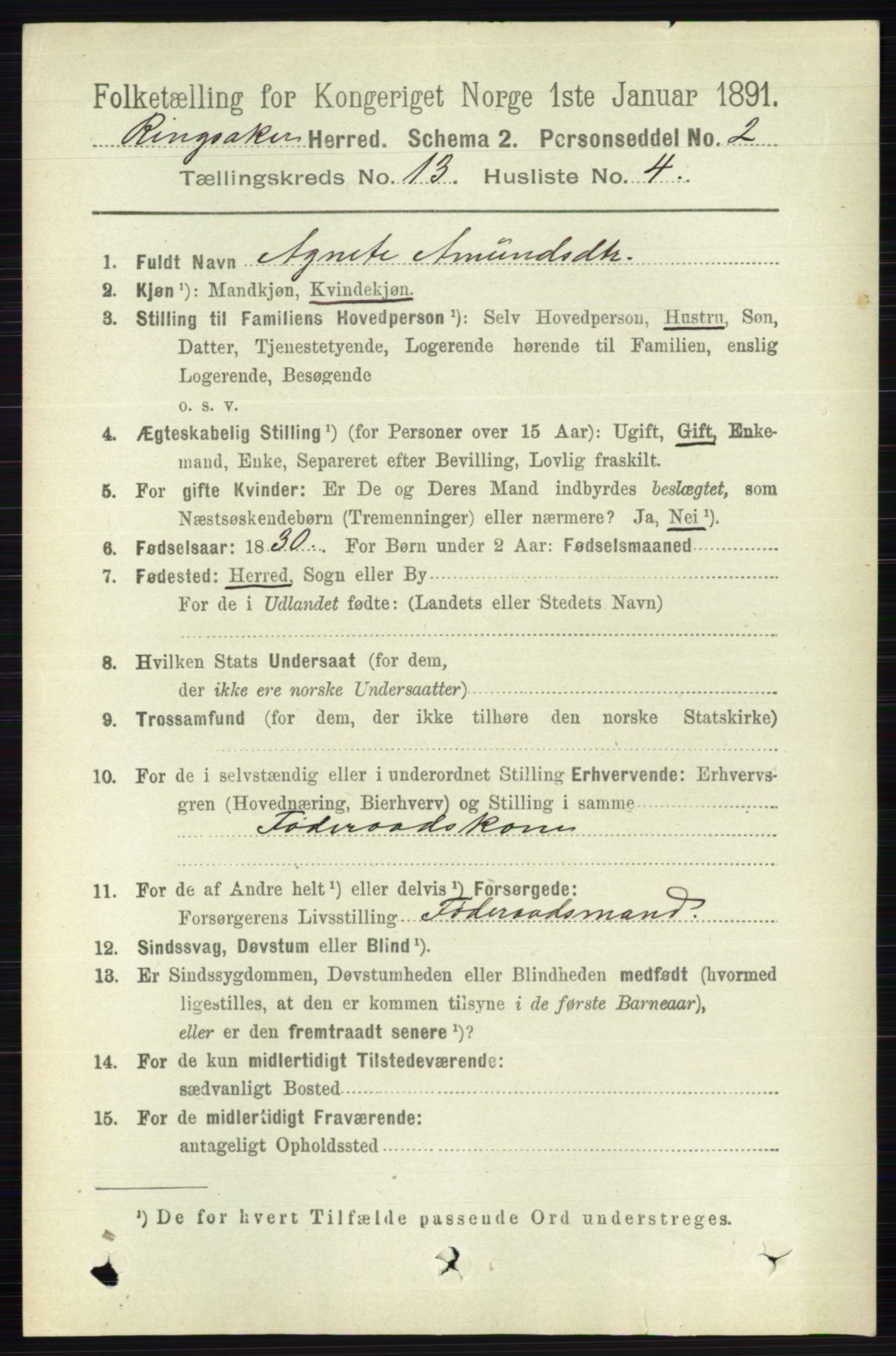 RA, 1891 census for 0412 Ringsaker, 1891, p. 7228
