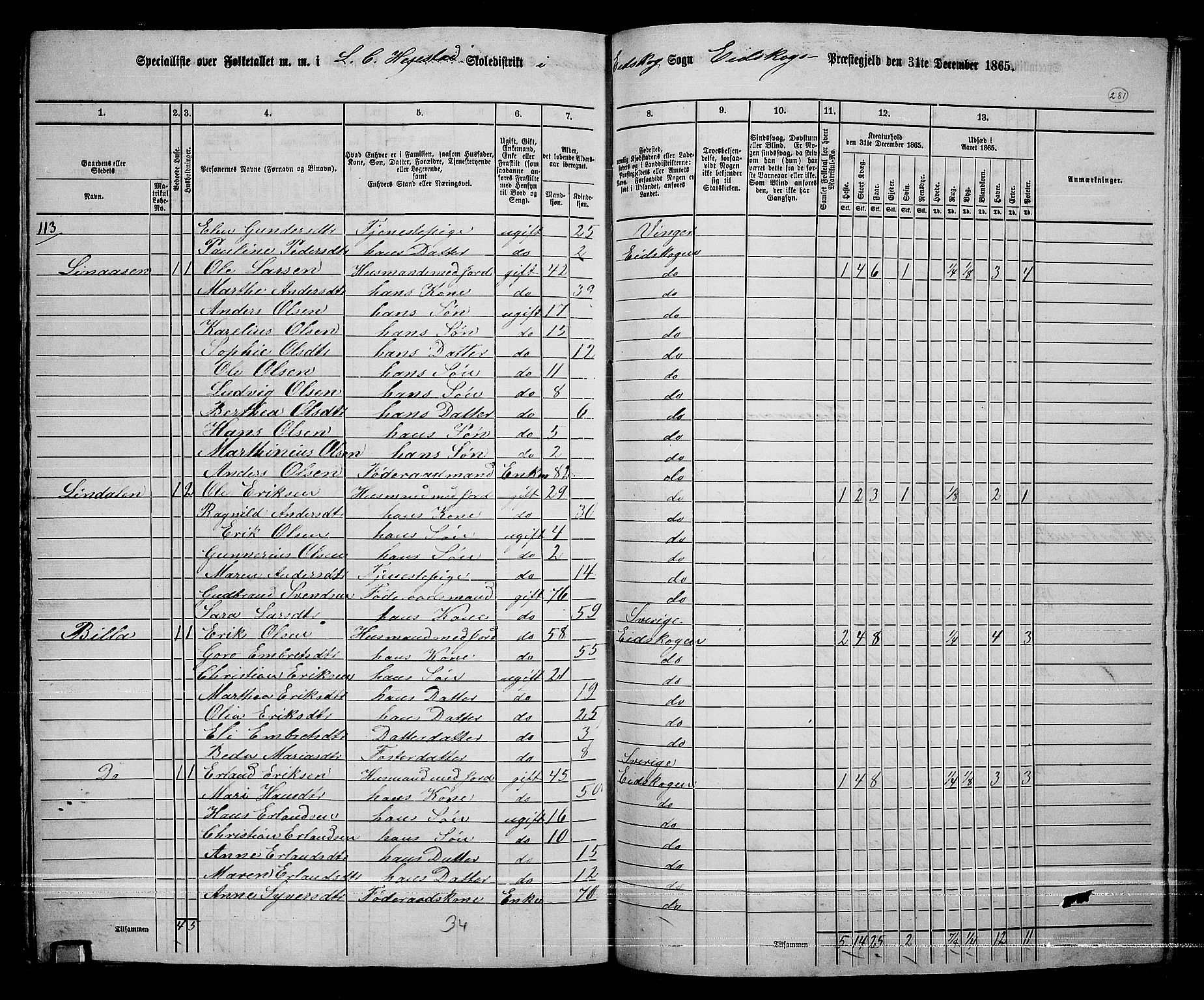 RA, 1865 census for Eidskog, 1865, p. 257