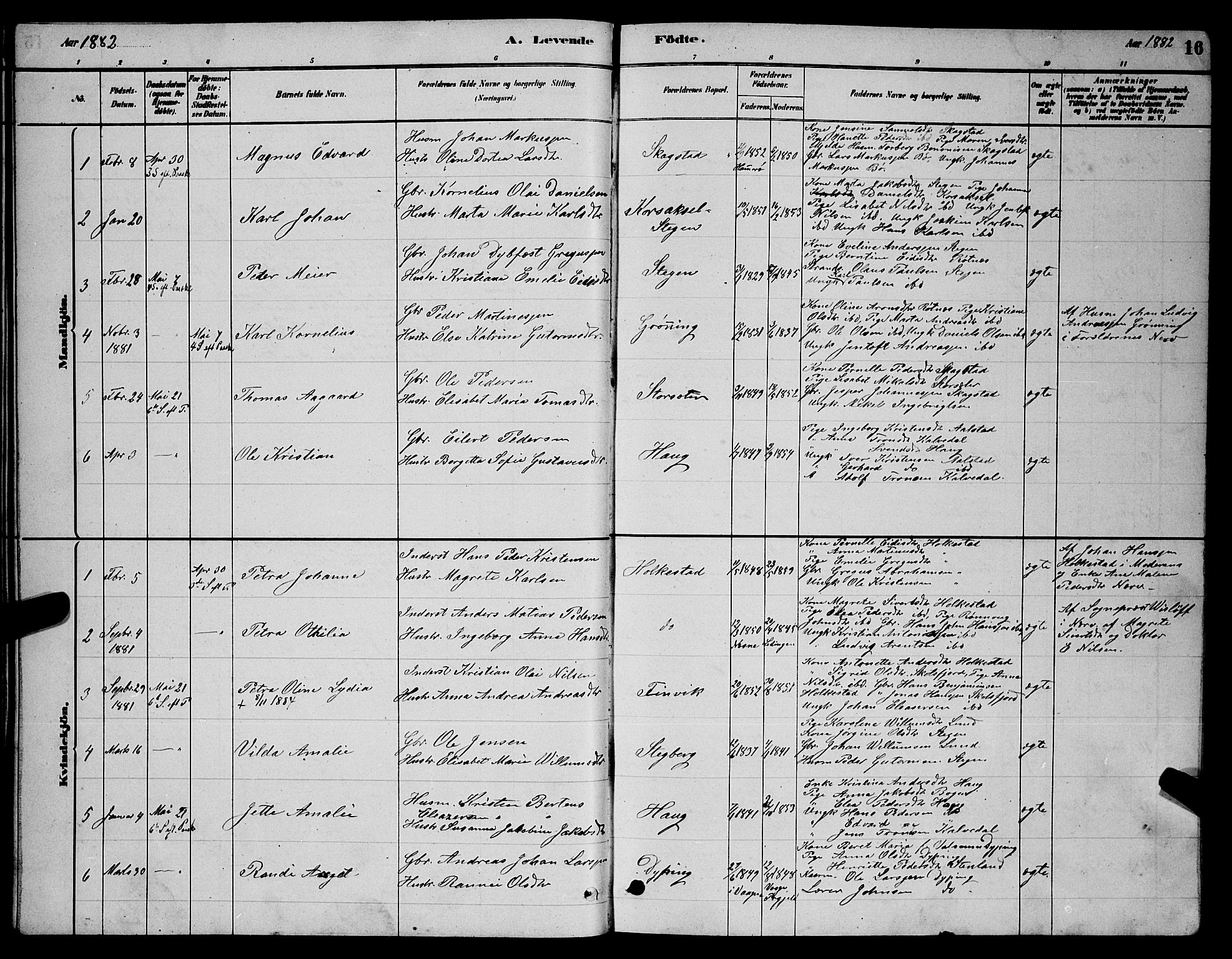 Ministerialprotokoller, klokkerbøker og fødselsregistre - Nordland, AV/SAT-A-1459/855/L0816: Parish register (copy) no. 855C05, 1879-1894, p. 16