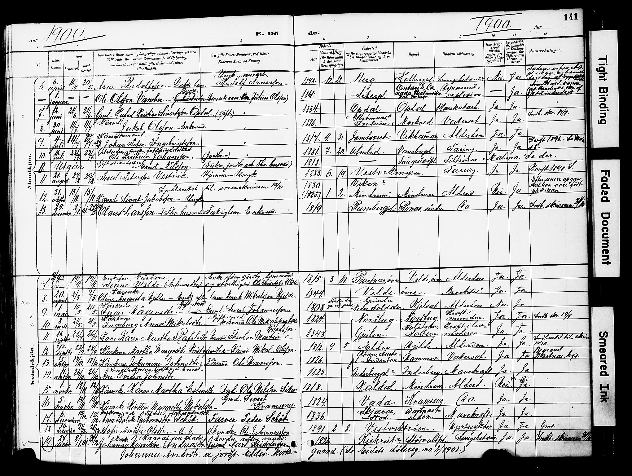 Ministerialprotokoller, klokkerbøker og fødselsregistre - Nord-Trøndelag, SAT/A-1458/741/L0396: Parish register (official) no. 741A10, 1889-1901, p. 141