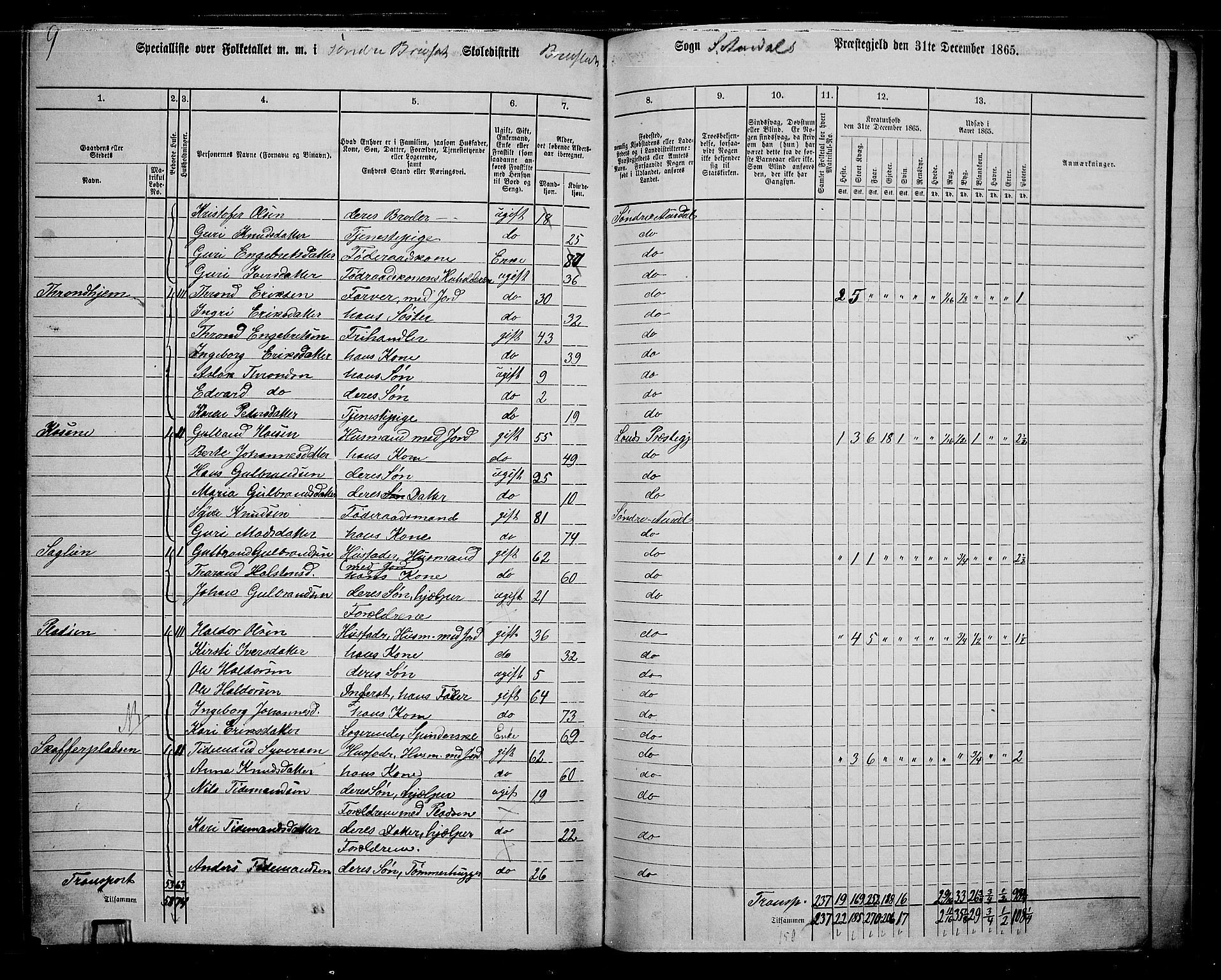 RA, 1865 census for Sør-Aurdal, 1865, p. 244