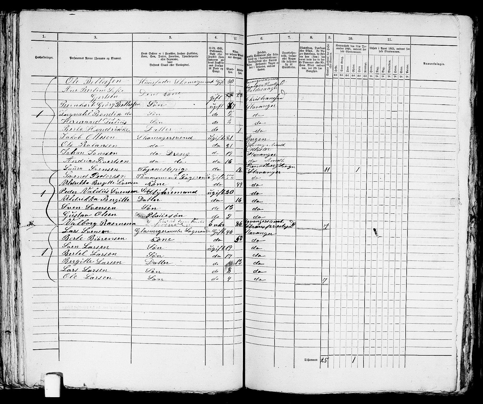 RA, 1865 census for Stavanger, 1865, p. 1604