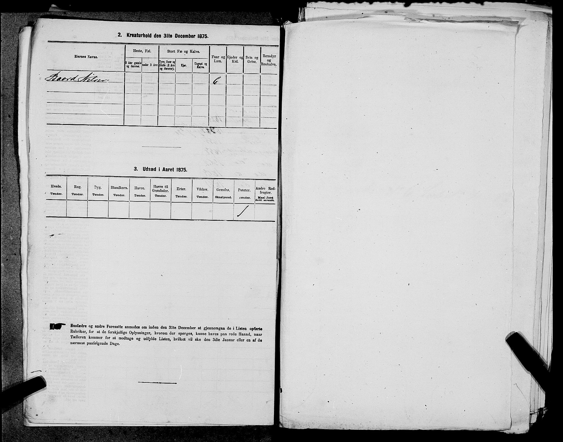 SAST, 1875 census for 1138P Jelsa, 1875, p. 493